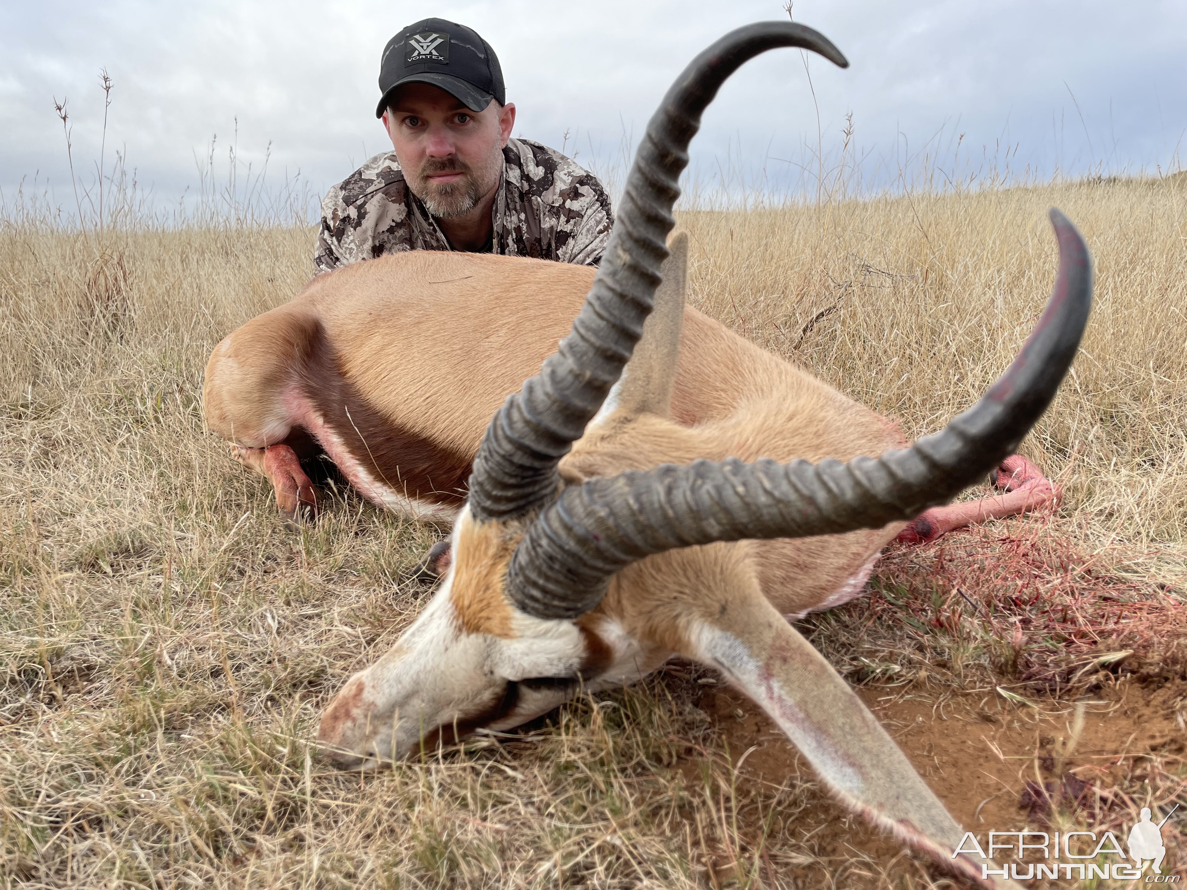 Springbok Hunting Eastern Cape South Africa