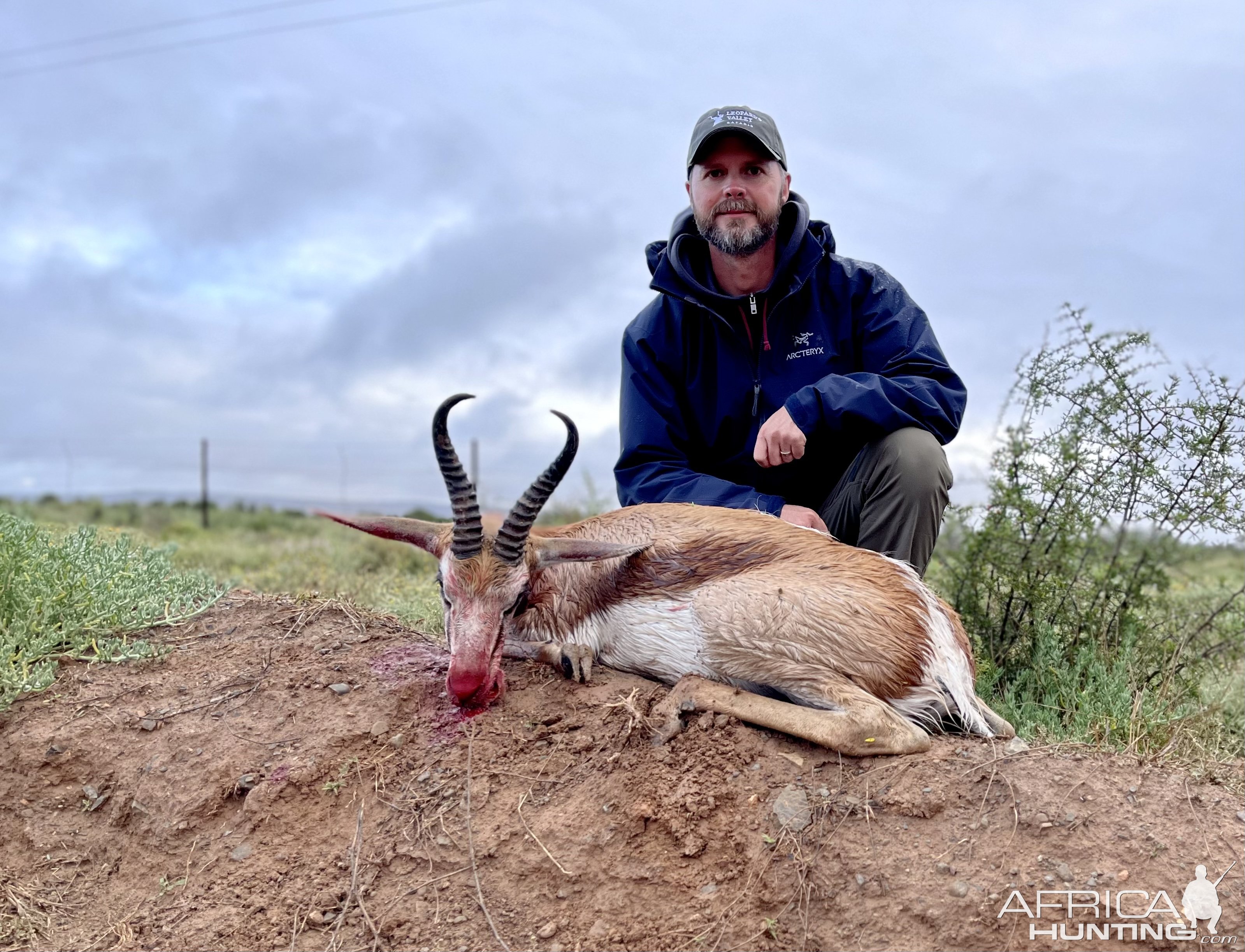 Springbok Hunting Eastern Cape South Africa