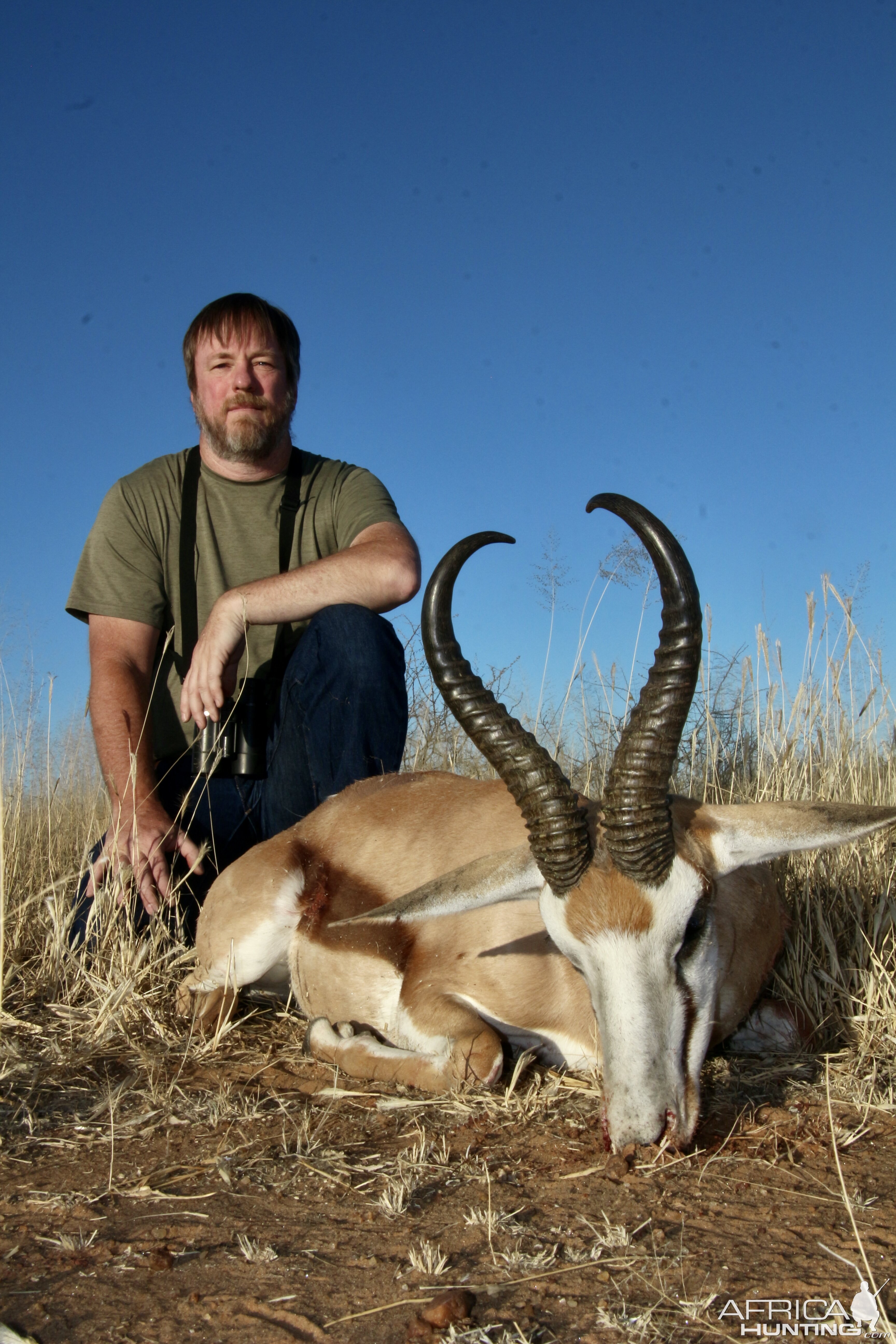 Springbok Hunting In Namibia