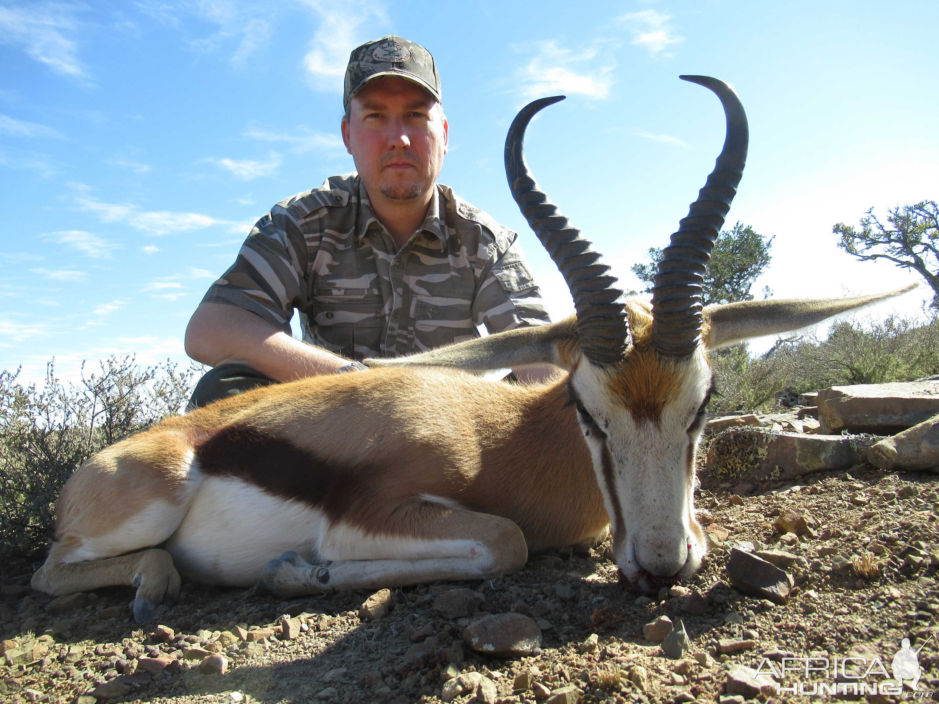 Springbok Hunting in South Africa