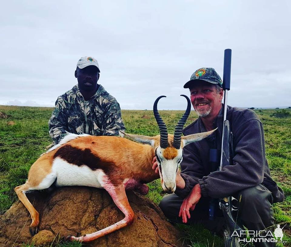 Springbok Hunting in South Africa