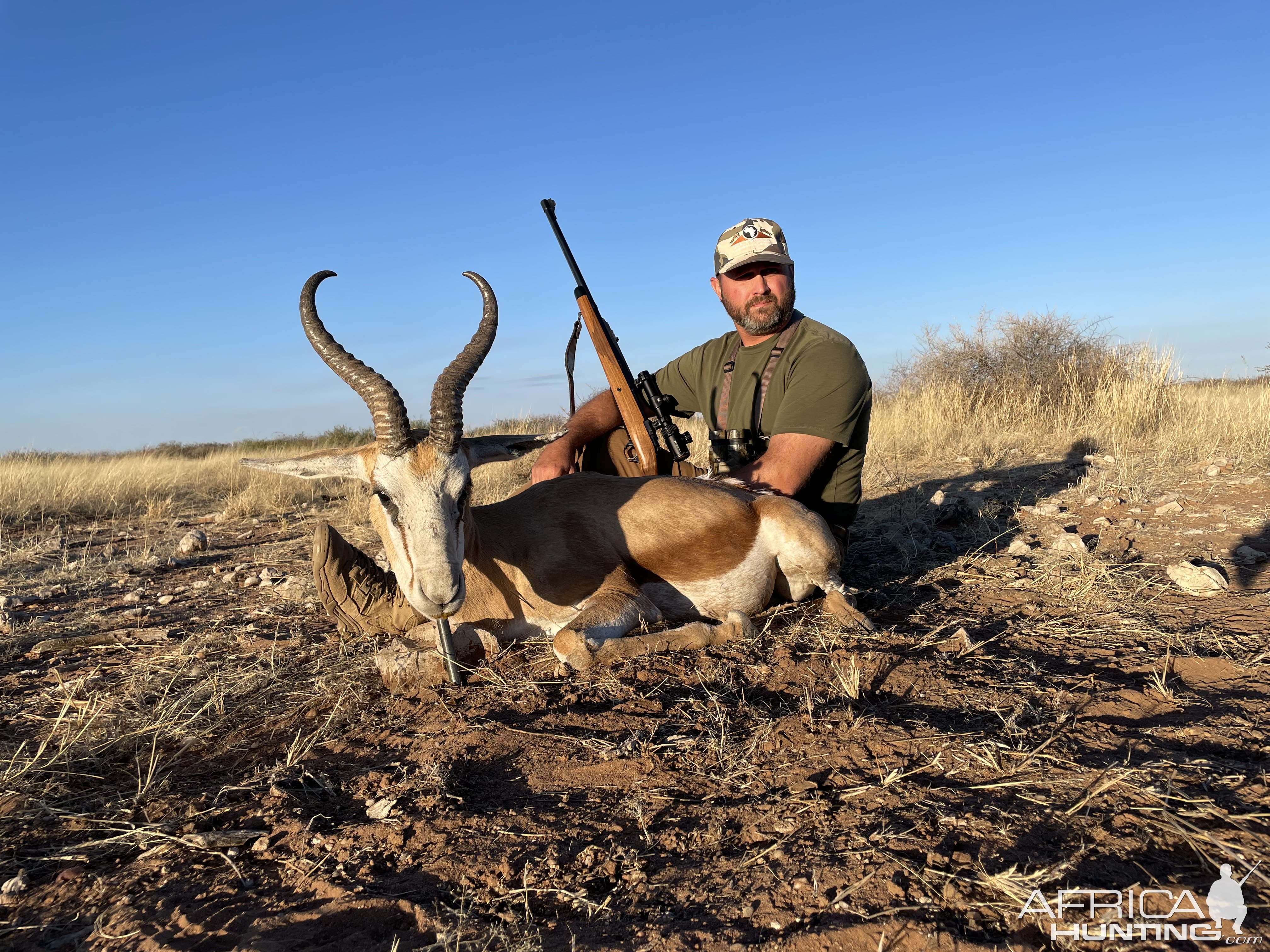 Springbok Hunting Namibia