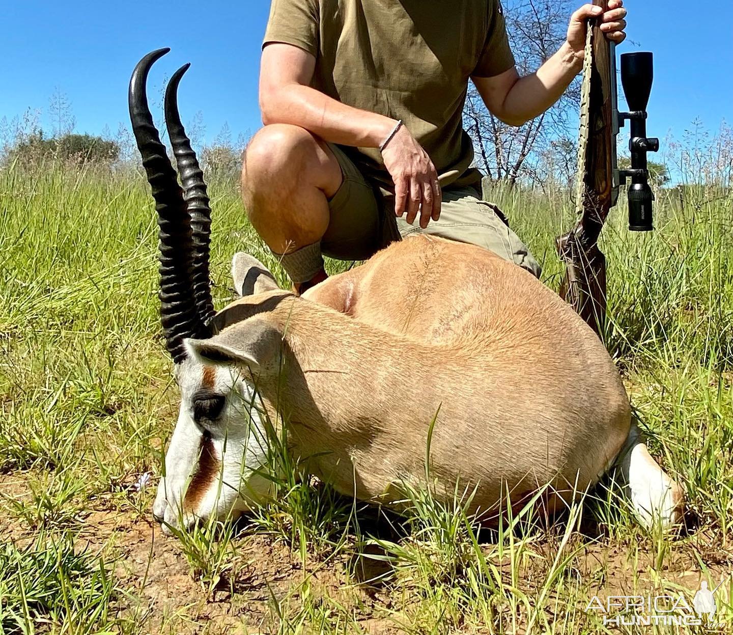 Springbok Hunting Namibia