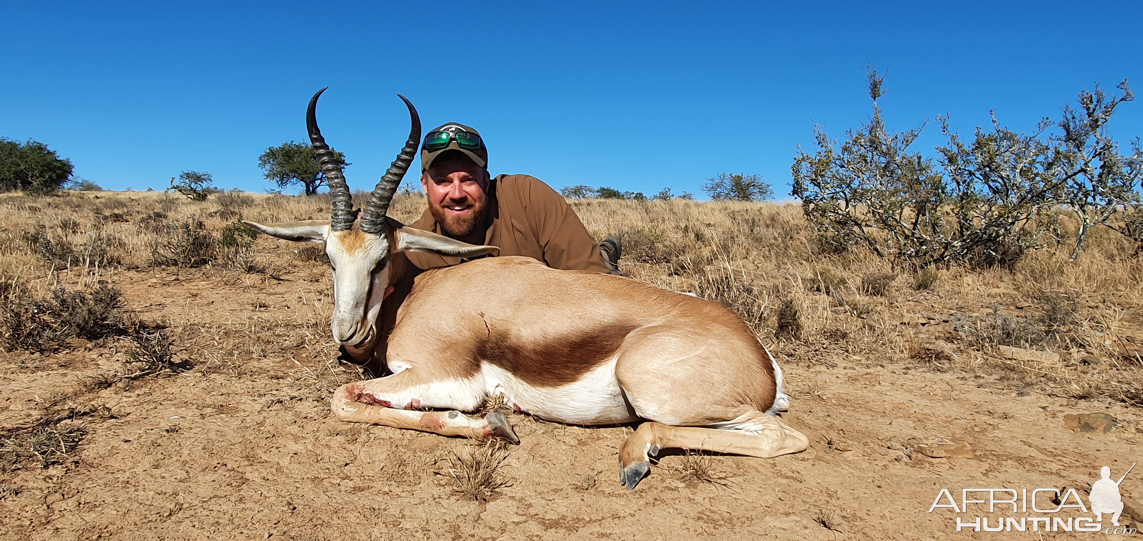 Springbok Hunting South Africa