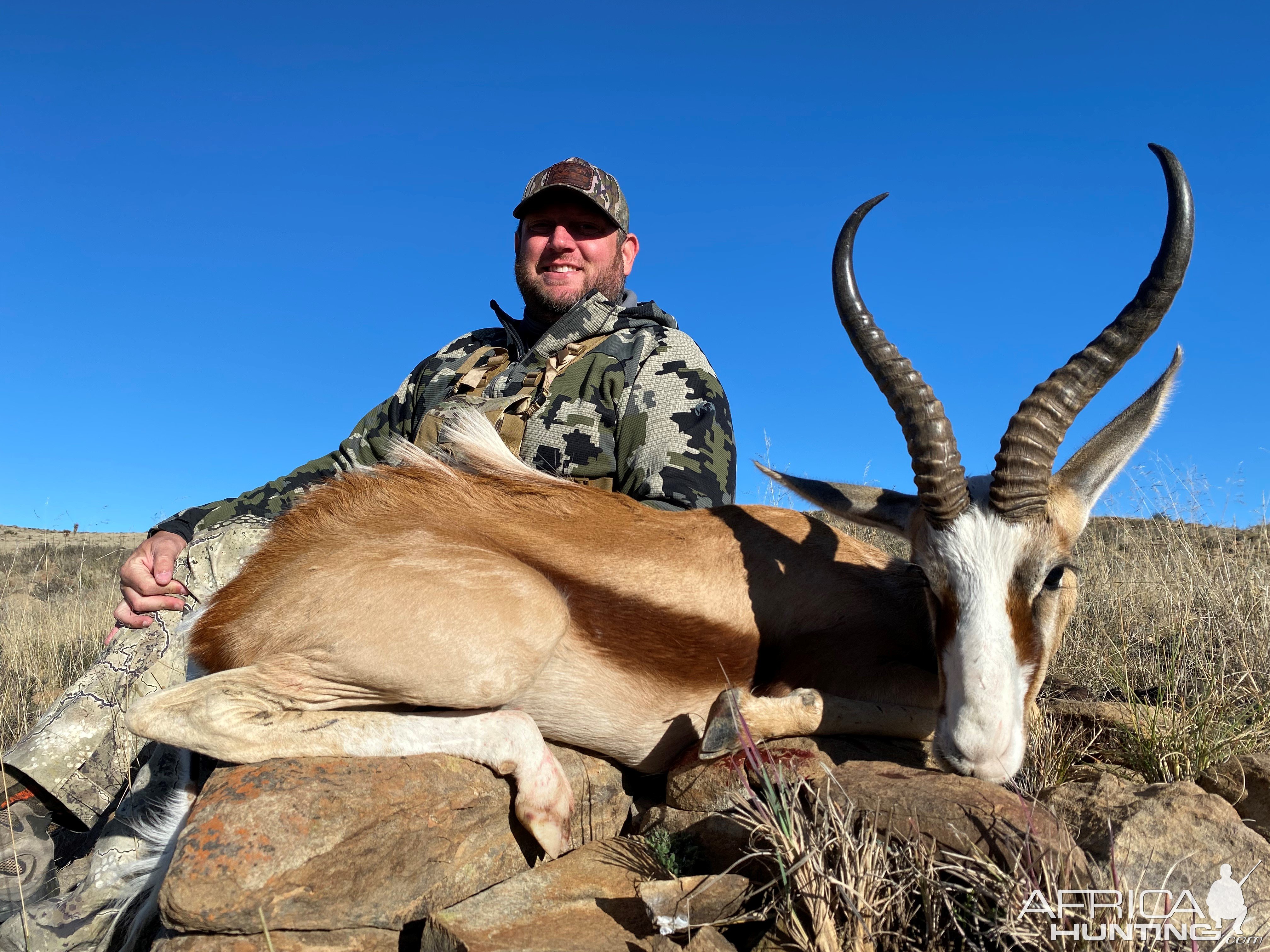 Springbok Hunting South Africa