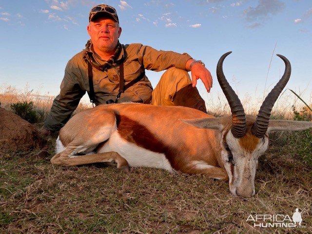 Springbok Hunting South Africa