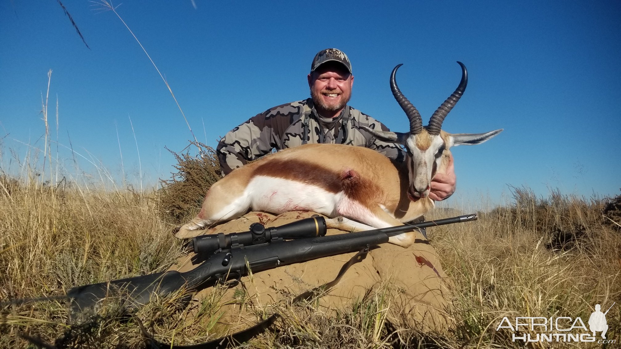 Springbok Hunting South Africa