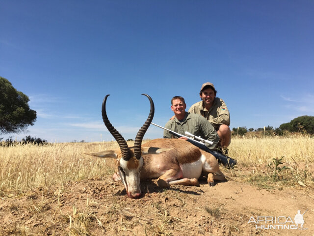 Springbok Hunting South Africa