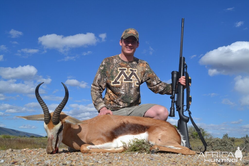 Springbok Hunting South Africa