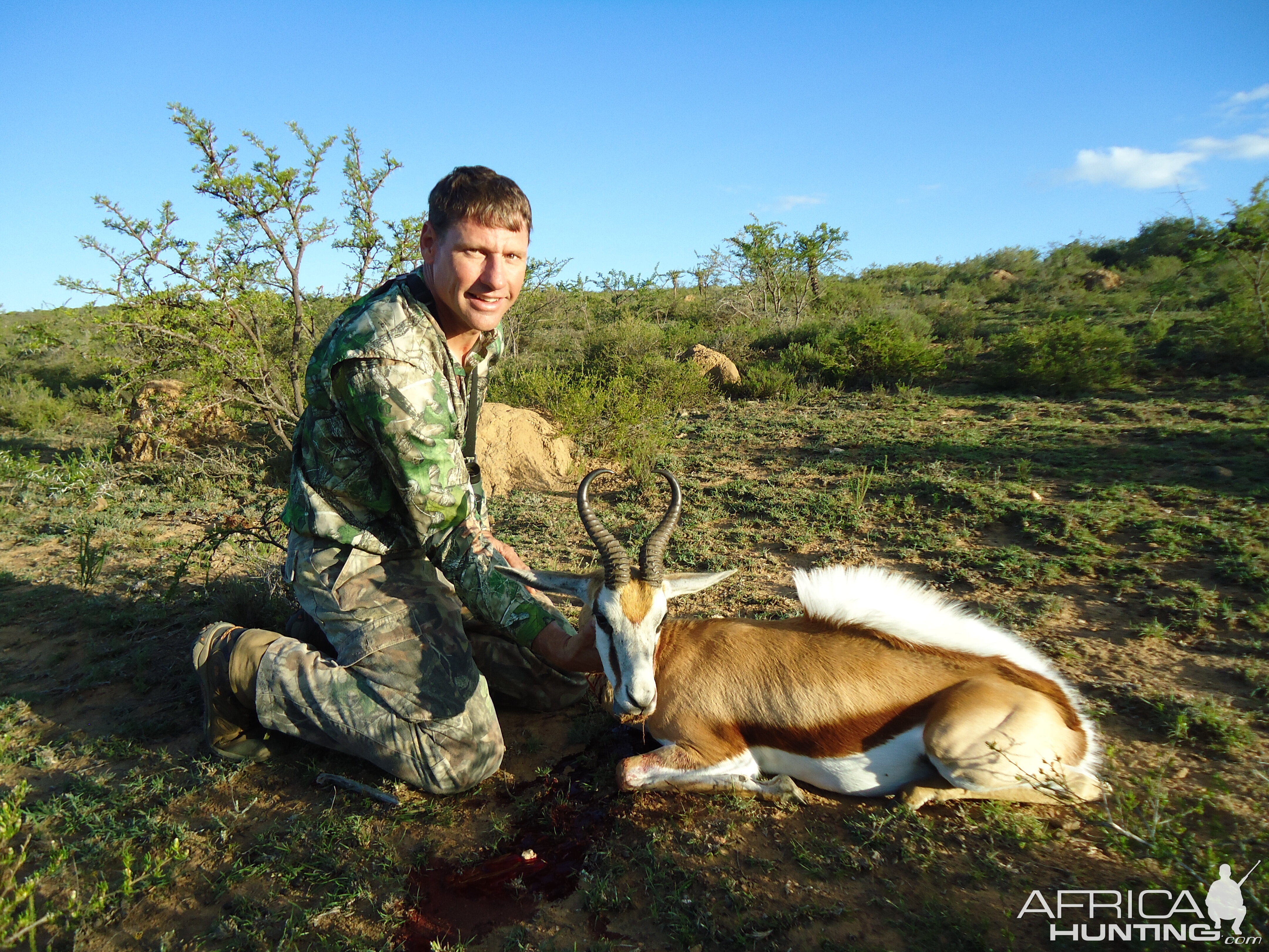 Springbok Hunting South Africa