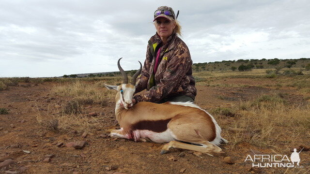 Springbok Hunting South Africa