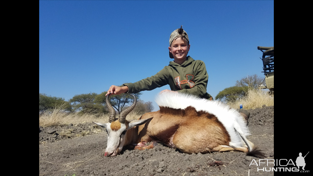 Springbok Hunting South Africa