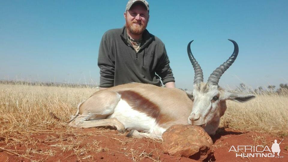 Springbok Hunting South Africa