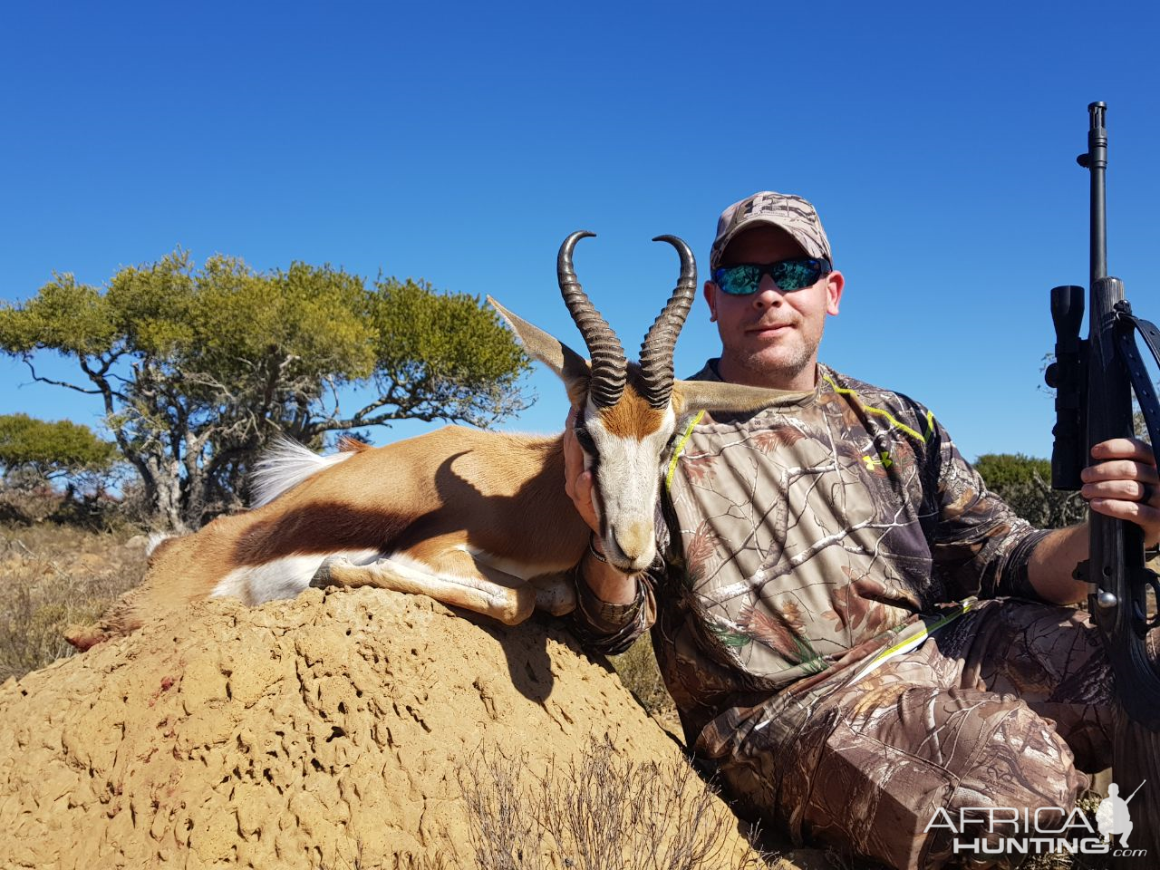 Springbok Hunting South Africa