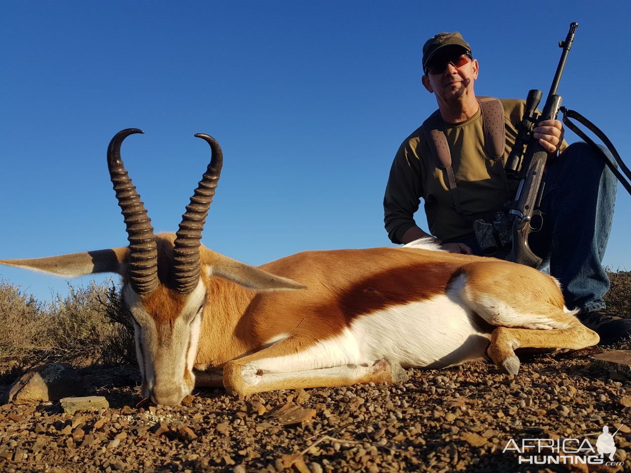 Springbok Hunting South Africa