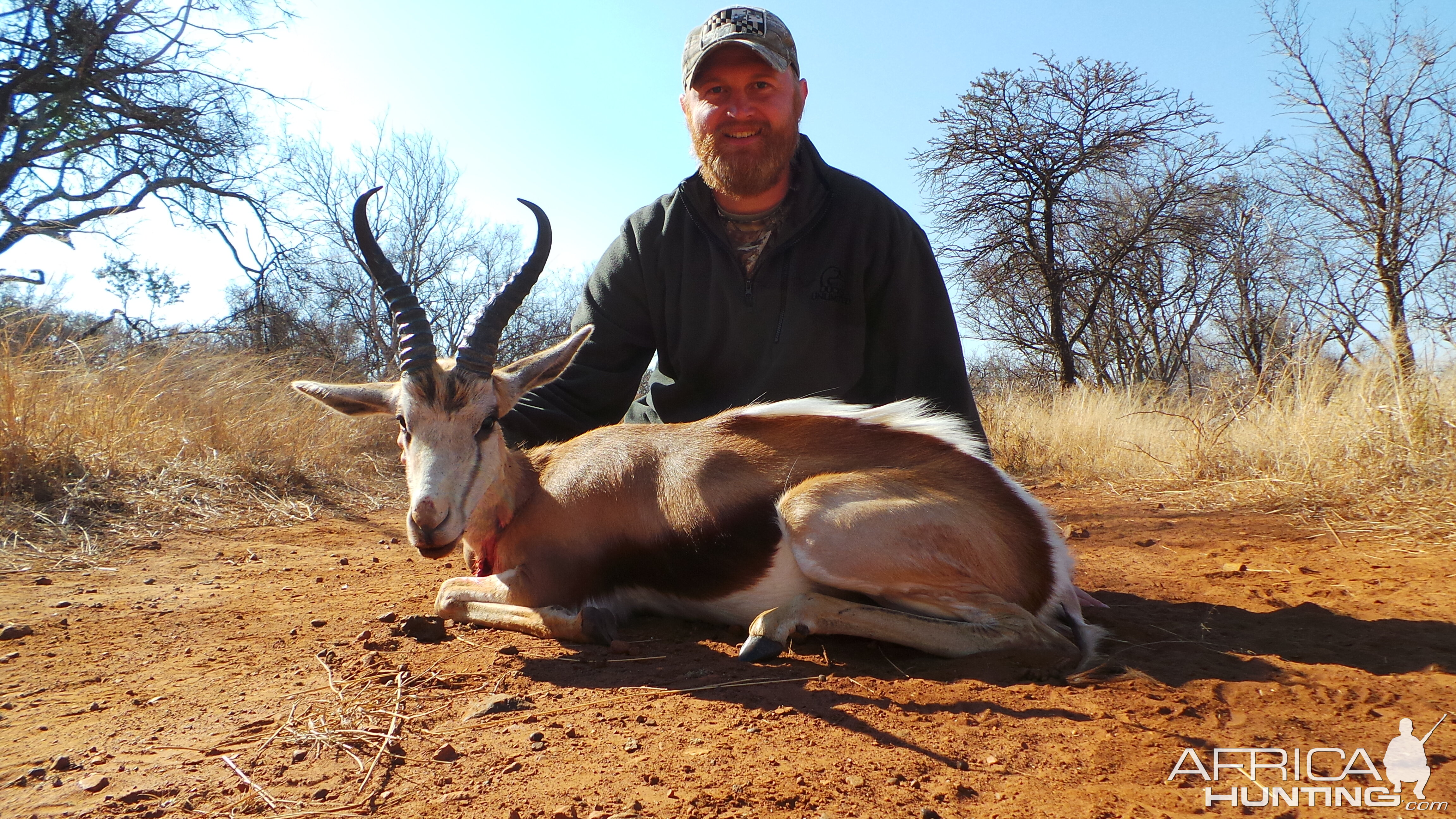 Springbok Hunting South Africa