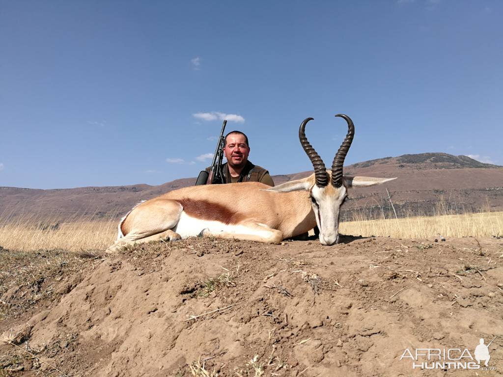 Springbok Hunting South Africa