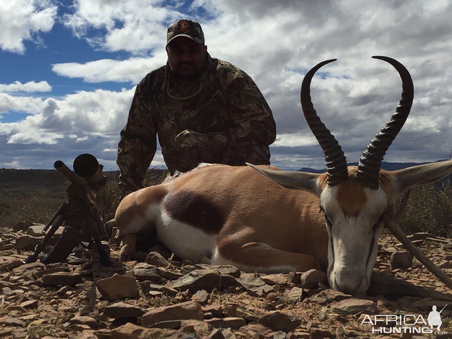 Springbok Hunting South Africa