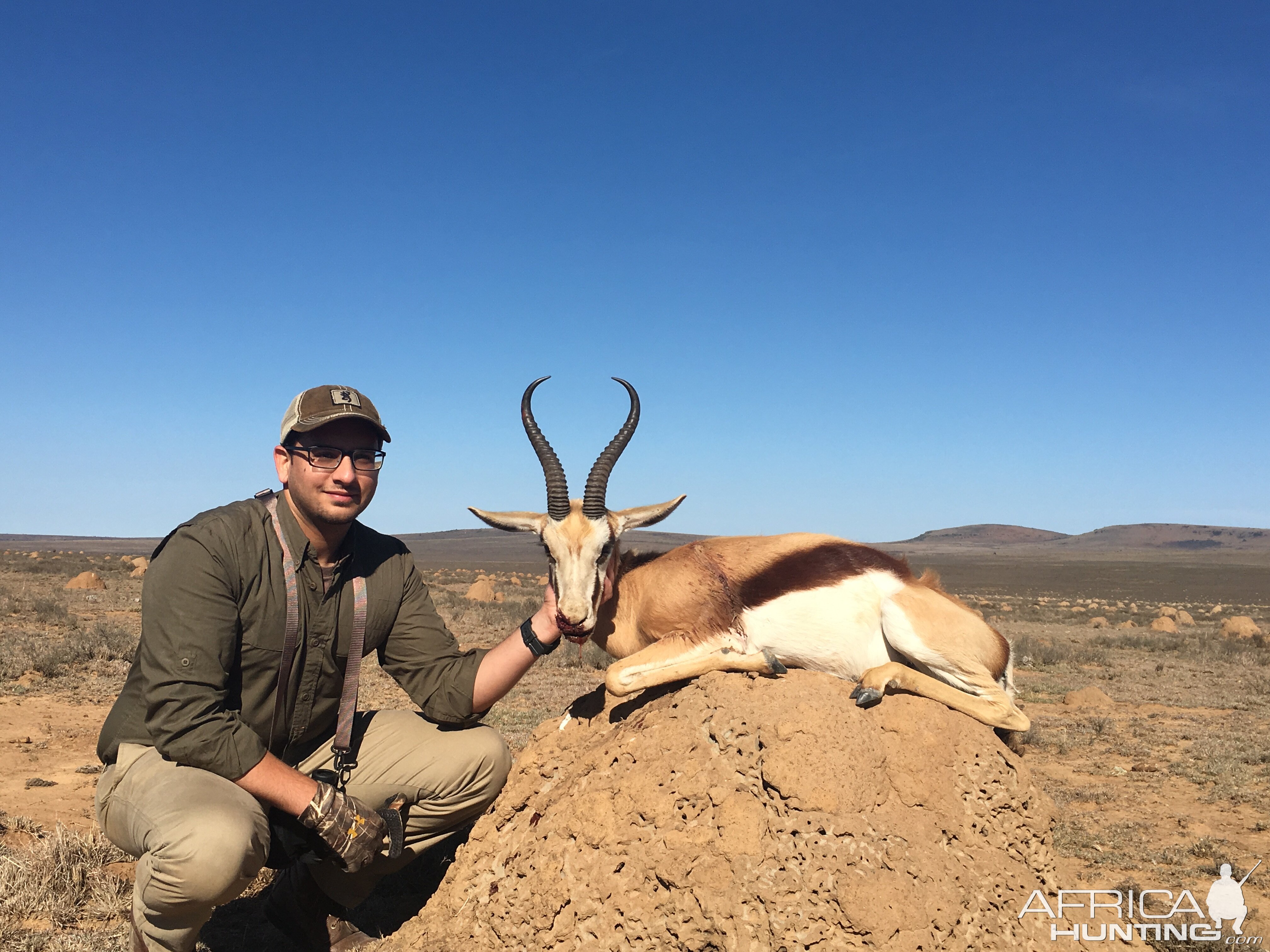 Springbok Hunting South Africa