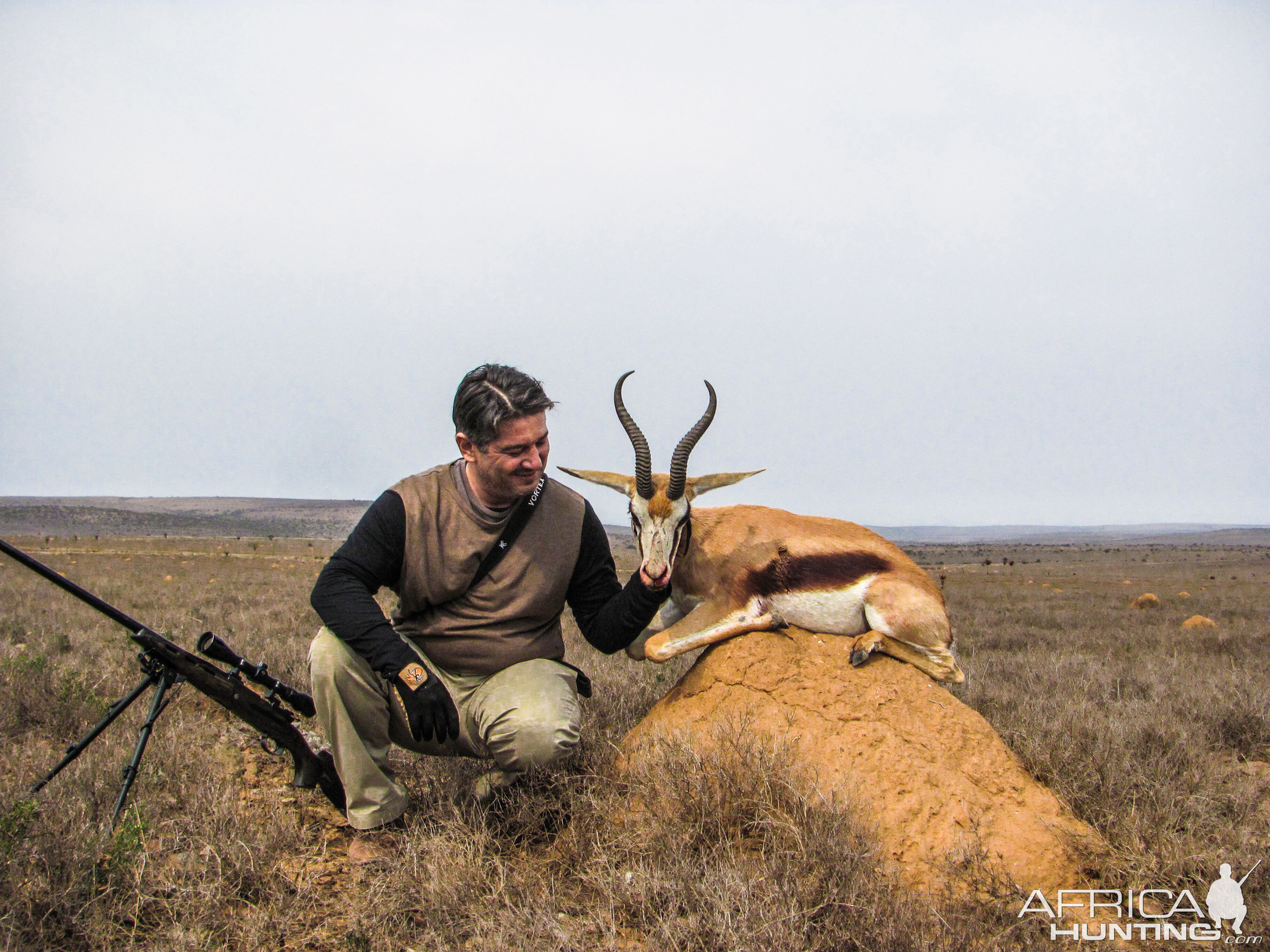 Springbok Hunting South Africa