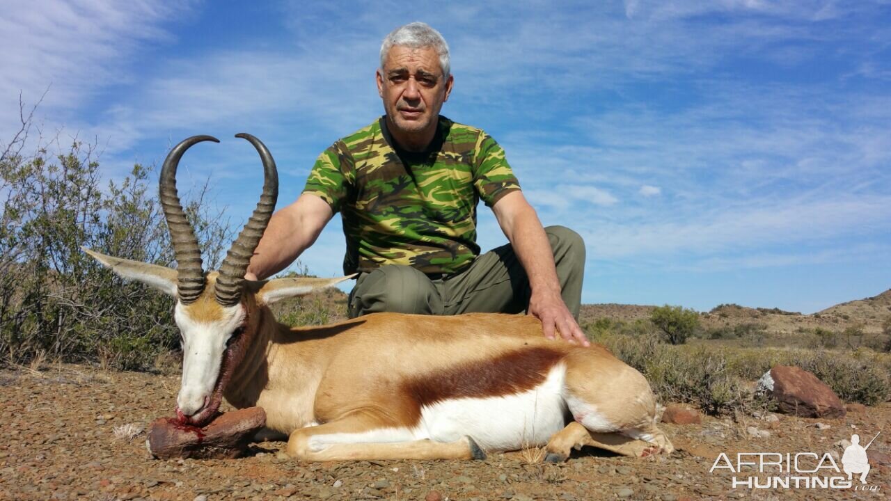 Springbok Hunting South Africa