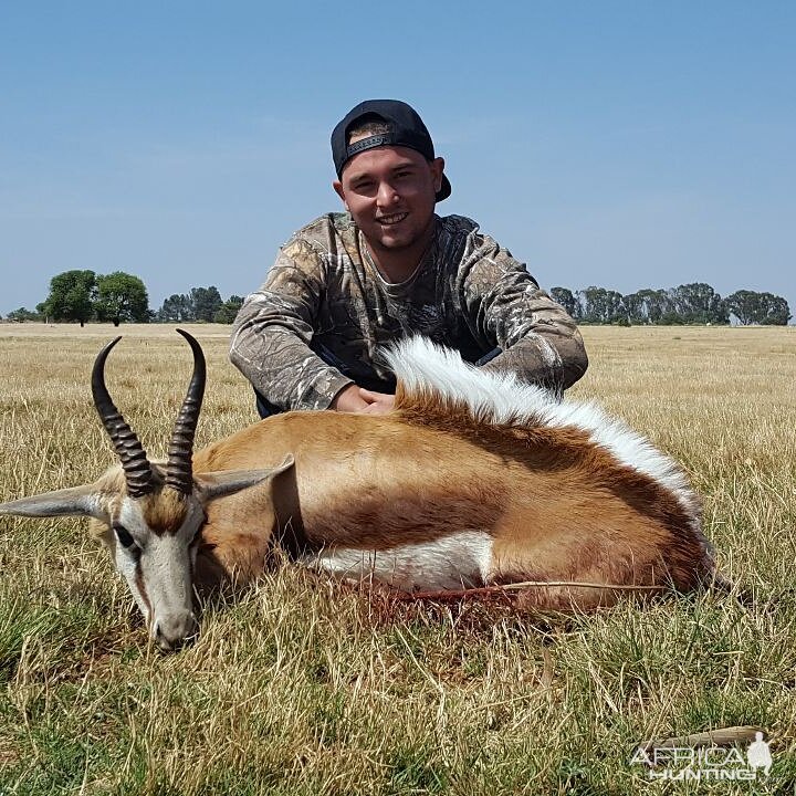 Springbok Hunting South Africa