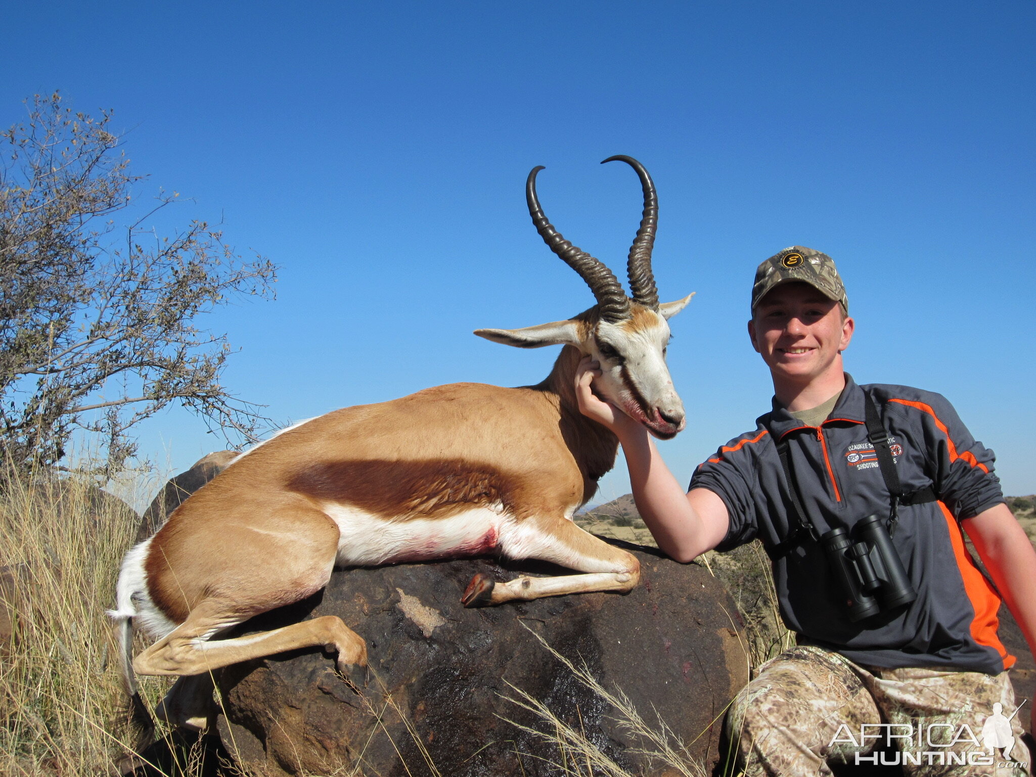 Springbok Hunting South Africa