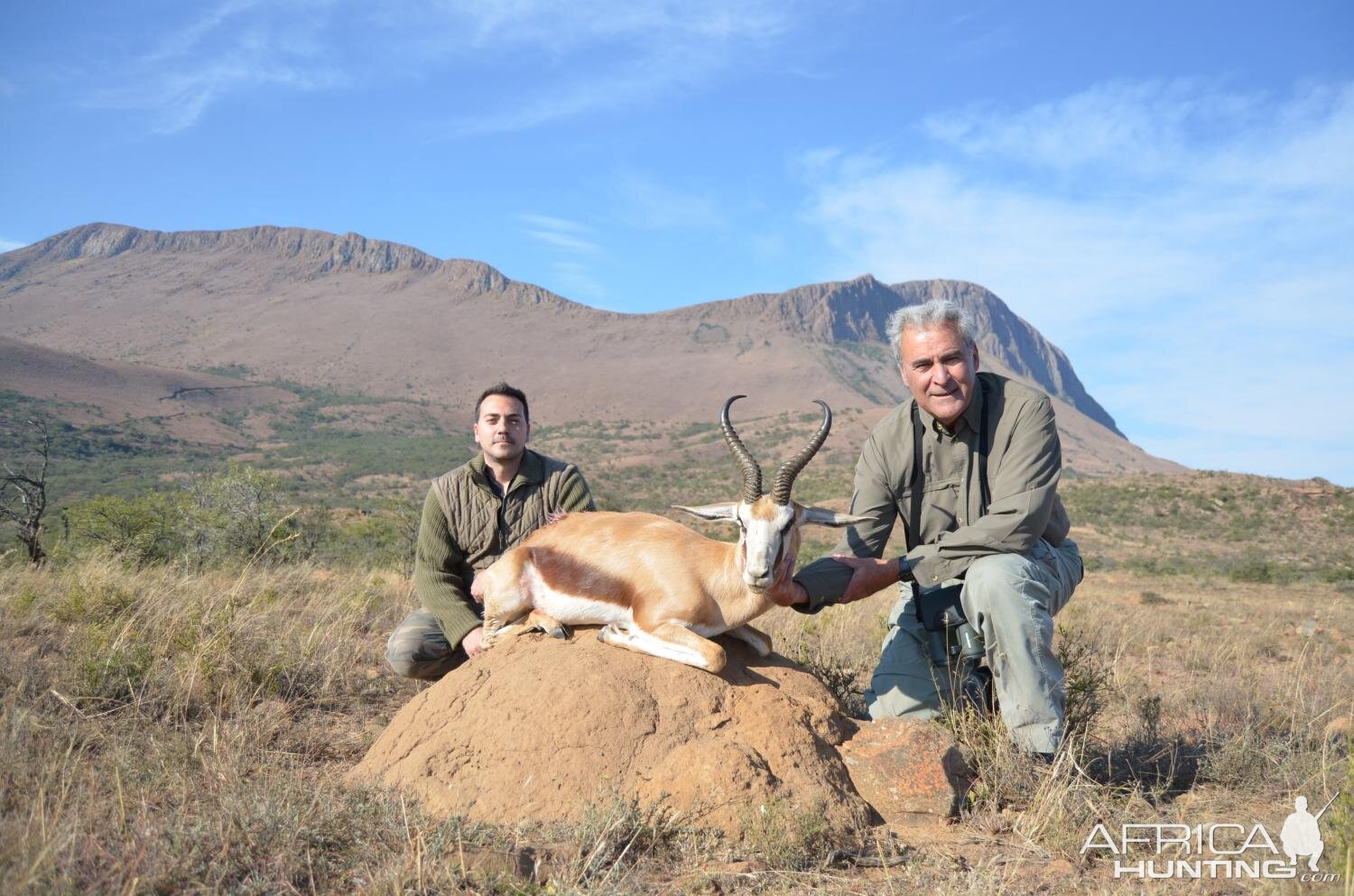 Springbok Hunting South Africa