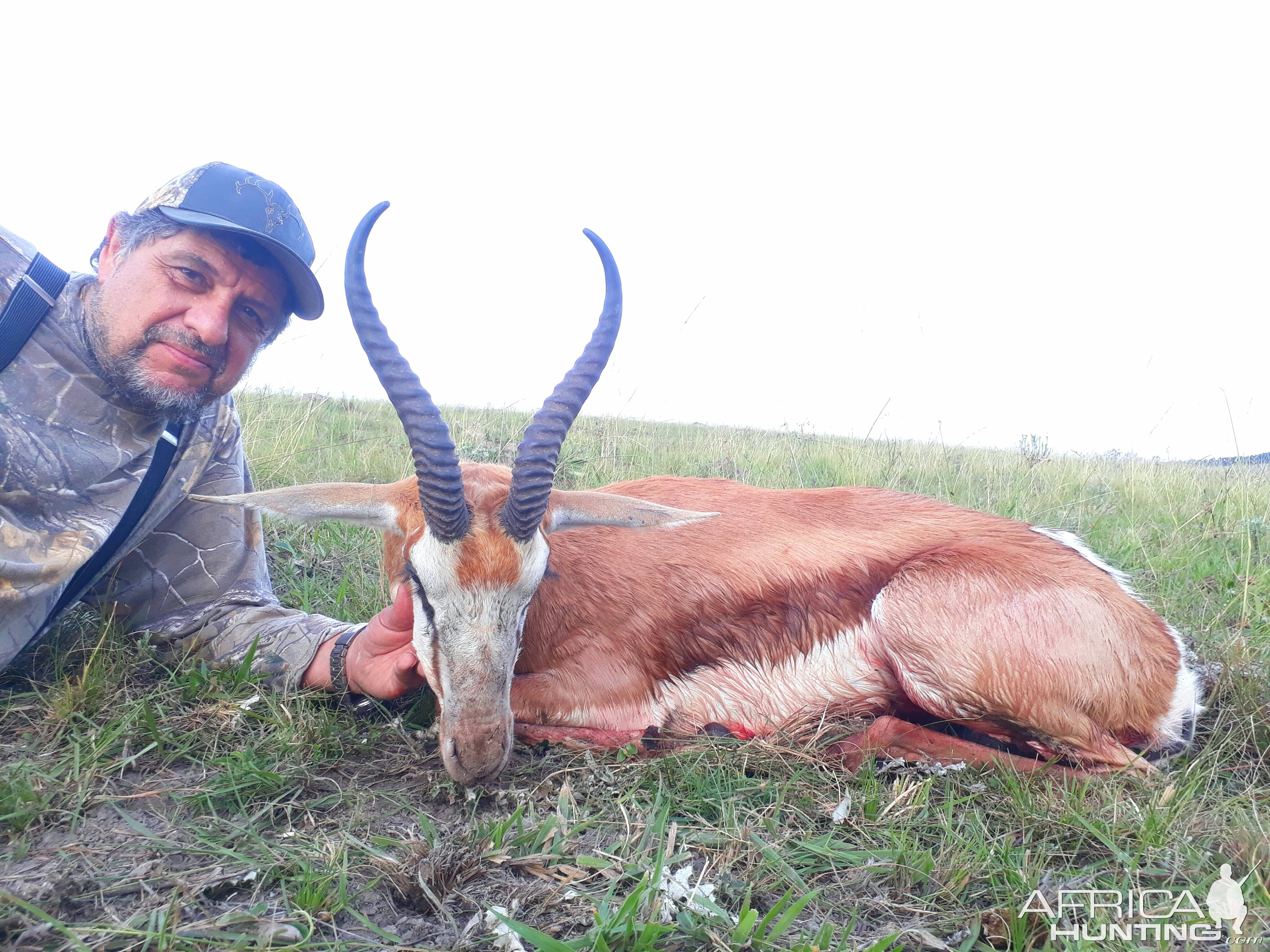 Springbok Hunting South Africa