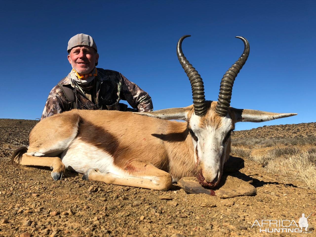 Springbok Hunting South Africa