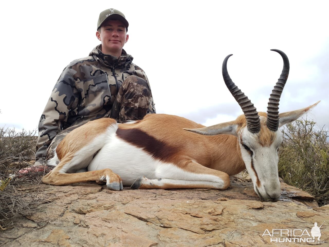 Springbok Hunting South Africa