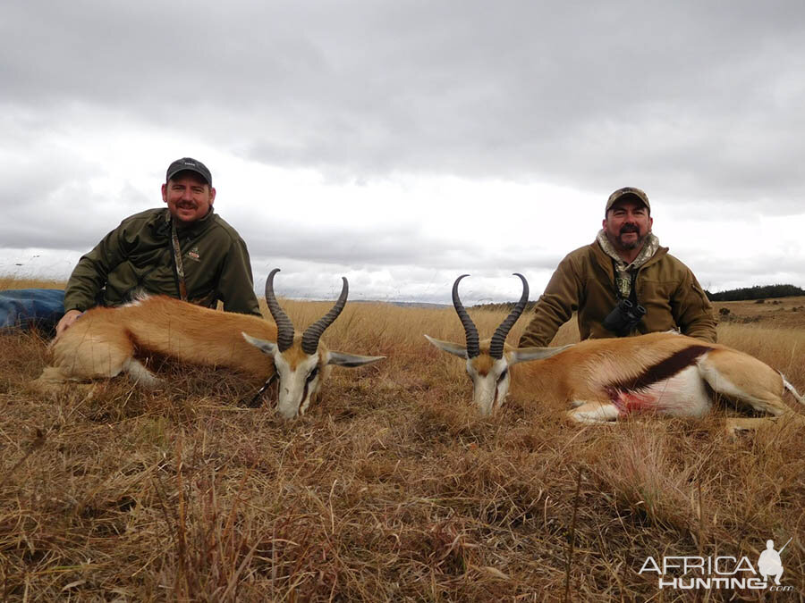 Springbok Hunting