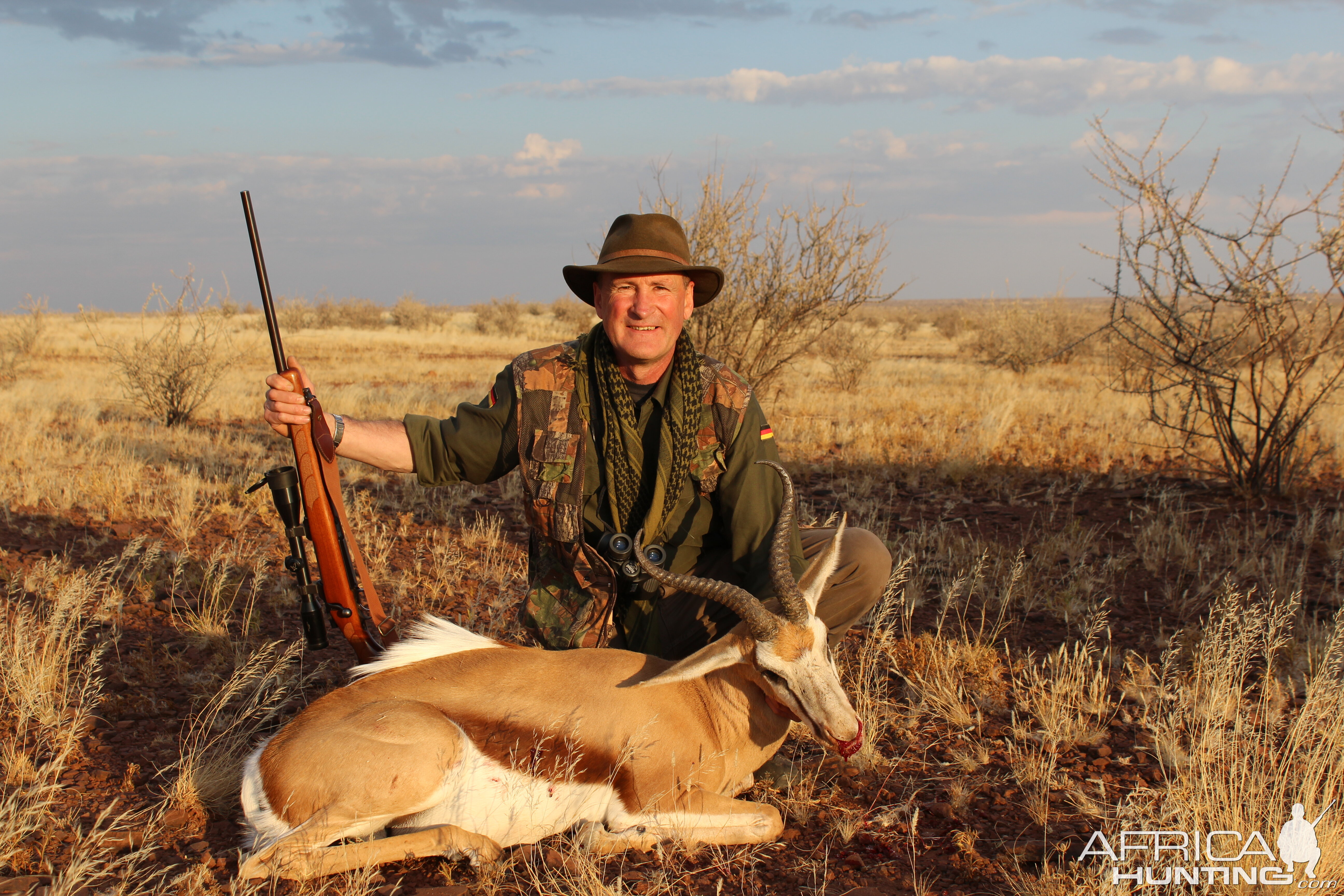 Springbok in Namibia