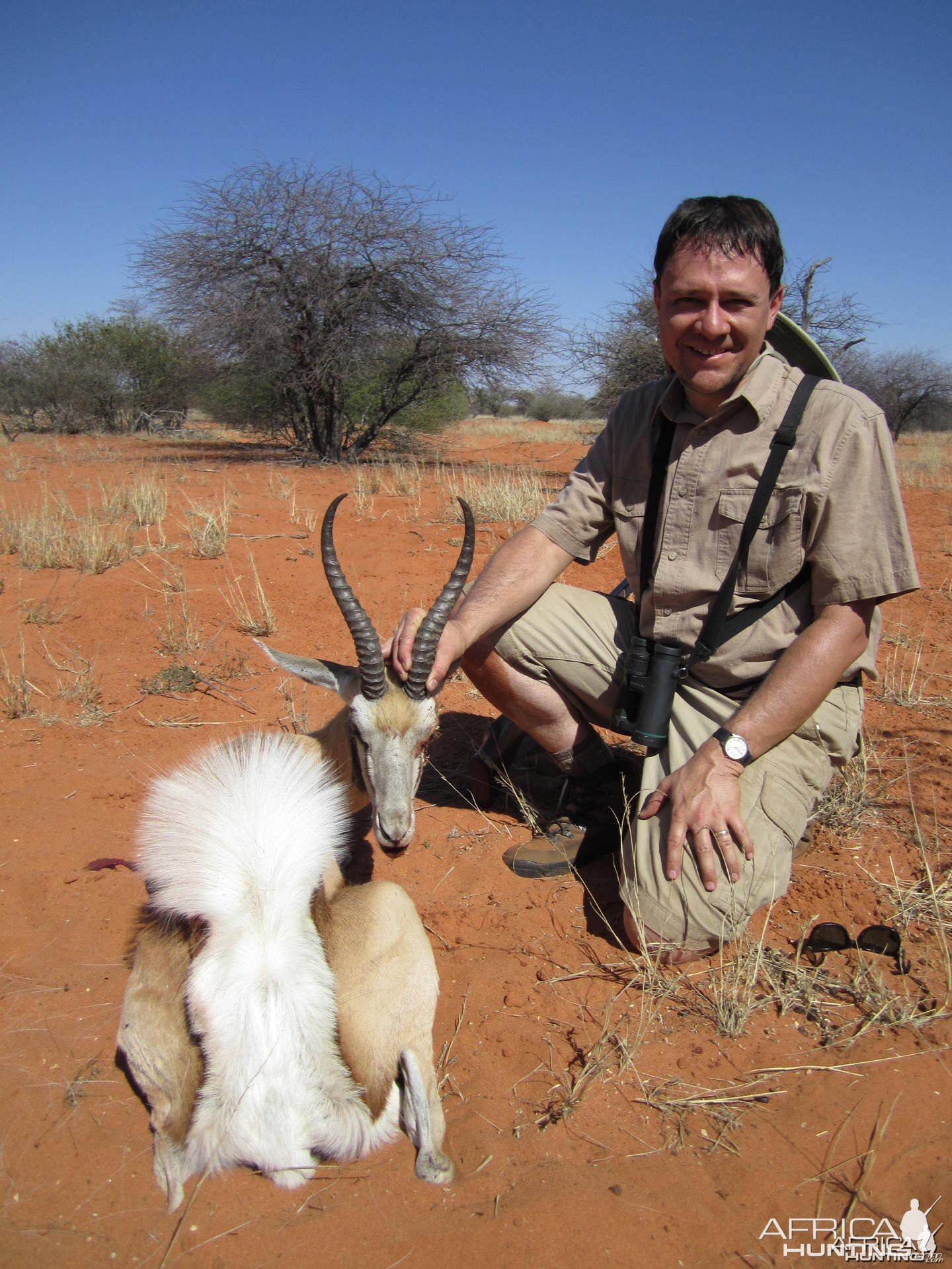 Springbok Namibia