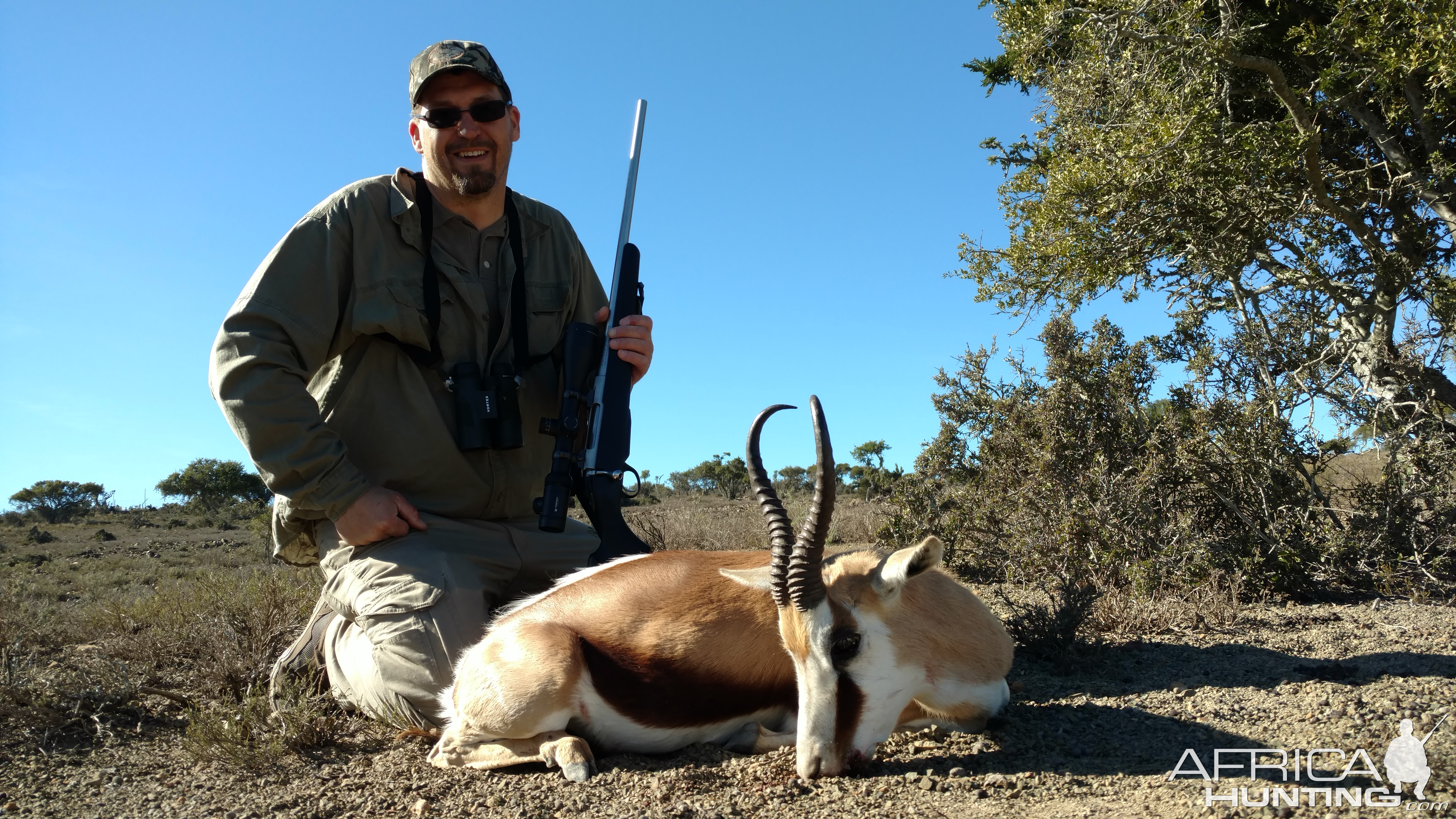 Springbok South Africa Hunt