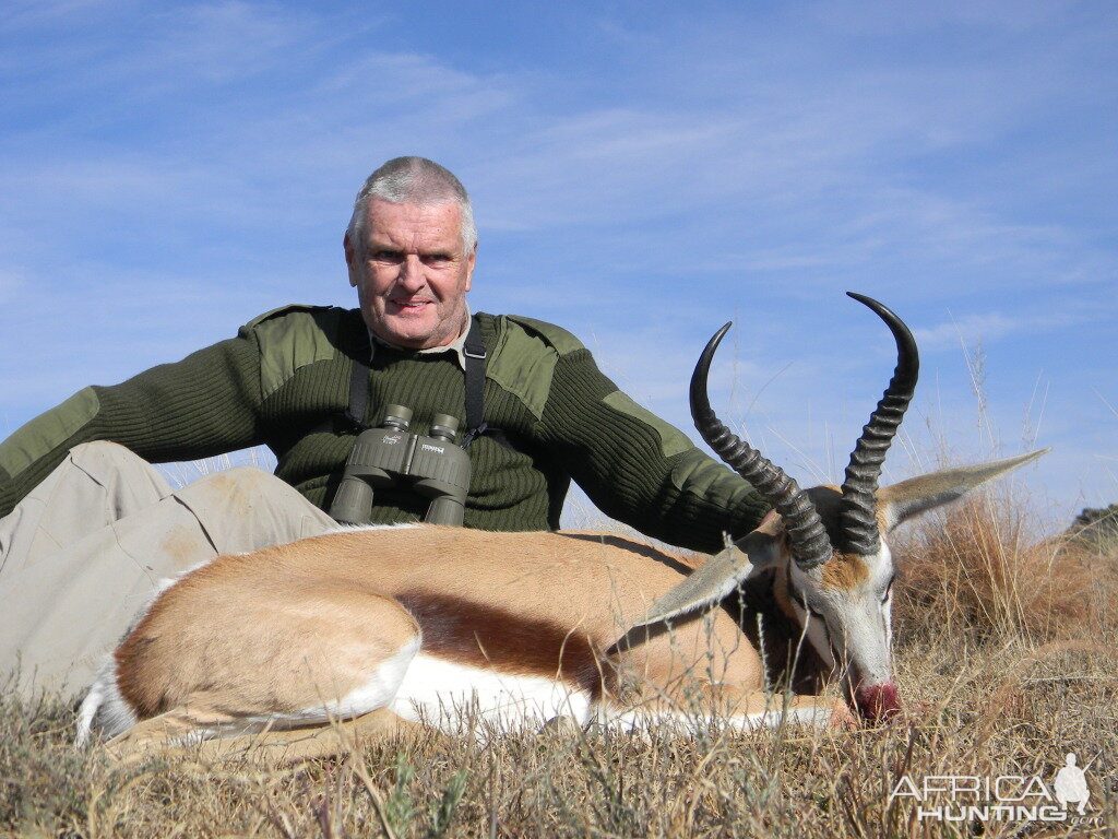 Springbok South Africa