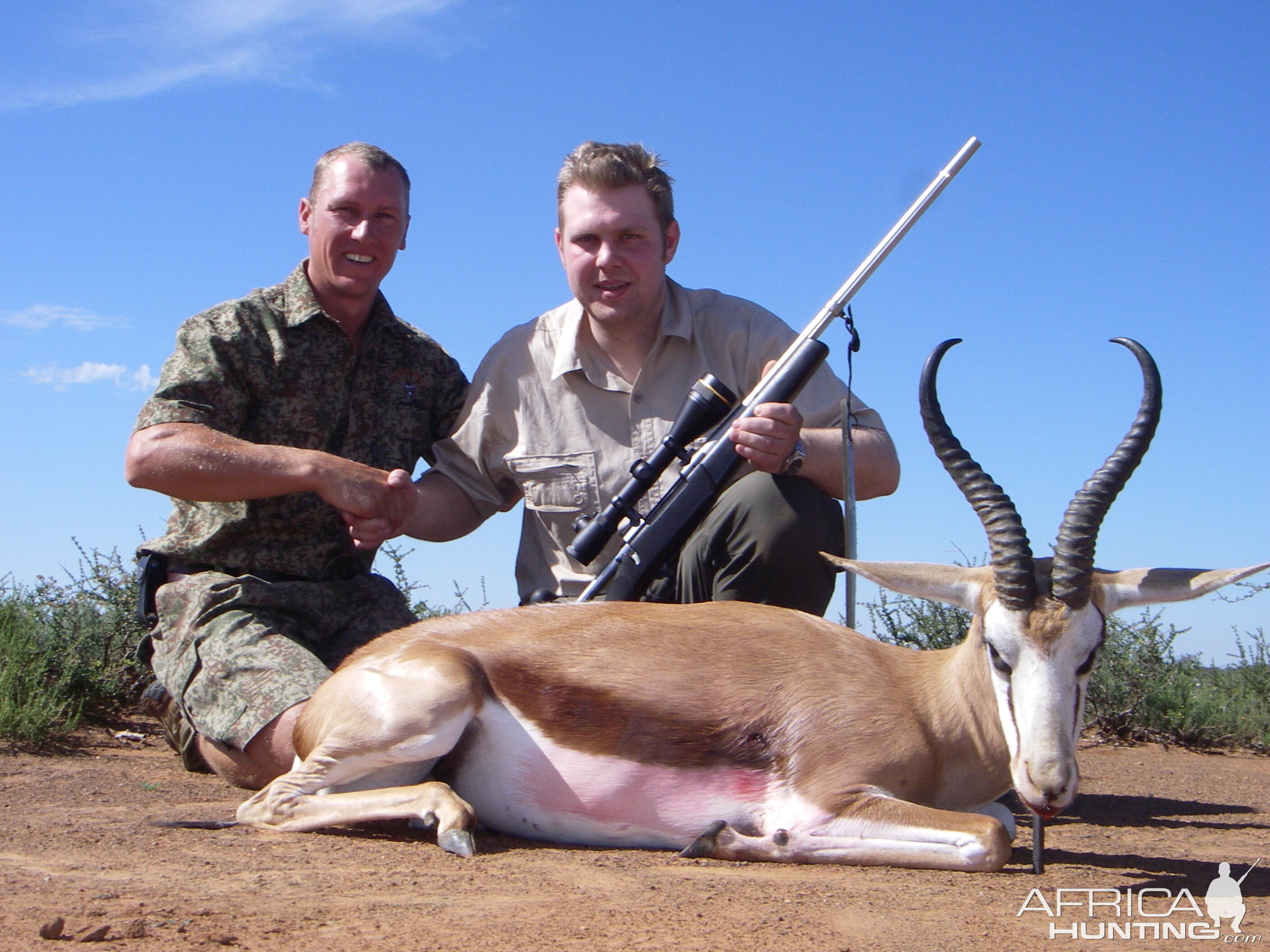 Springbok taken in South Africa