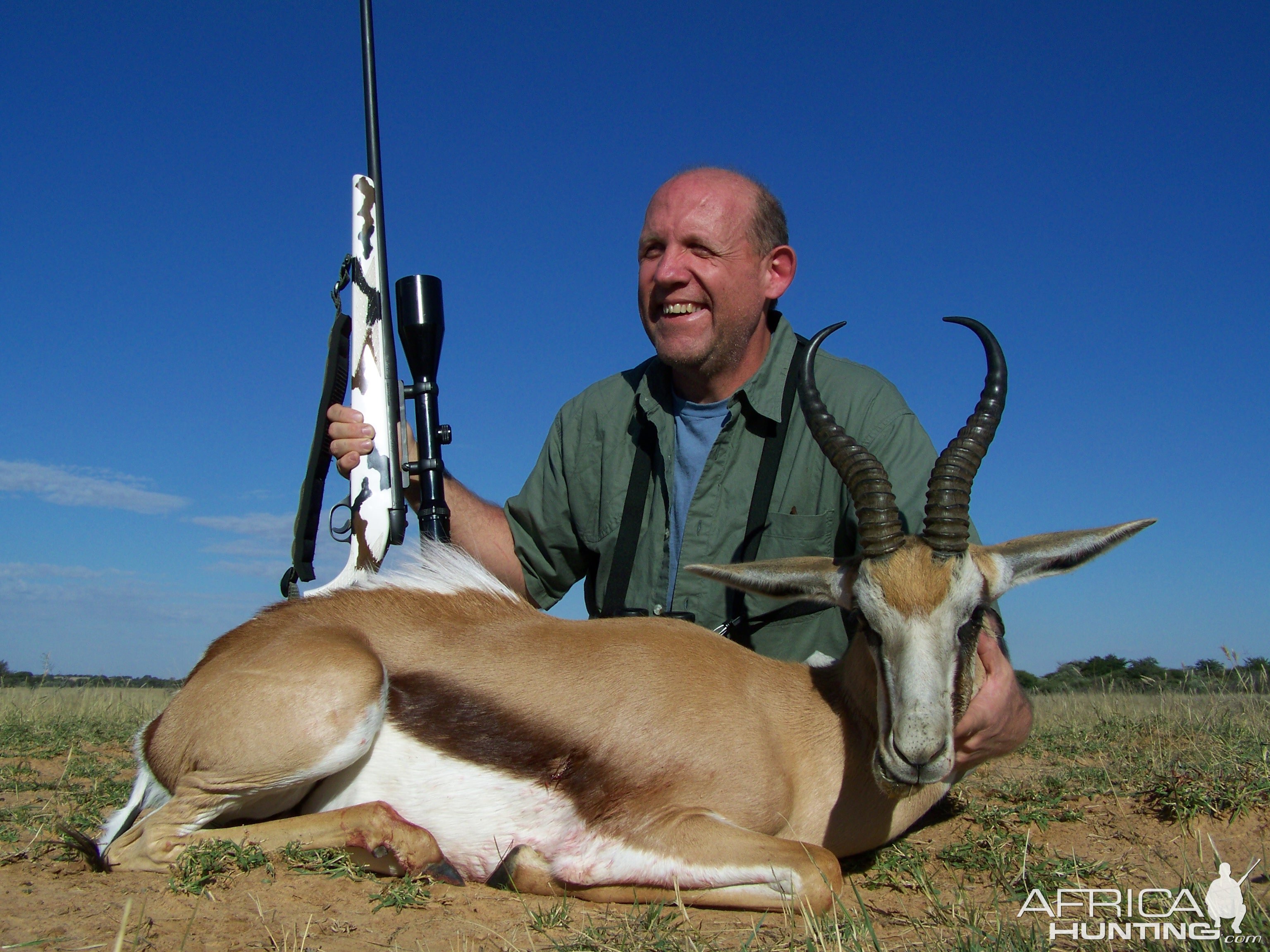 Springbok