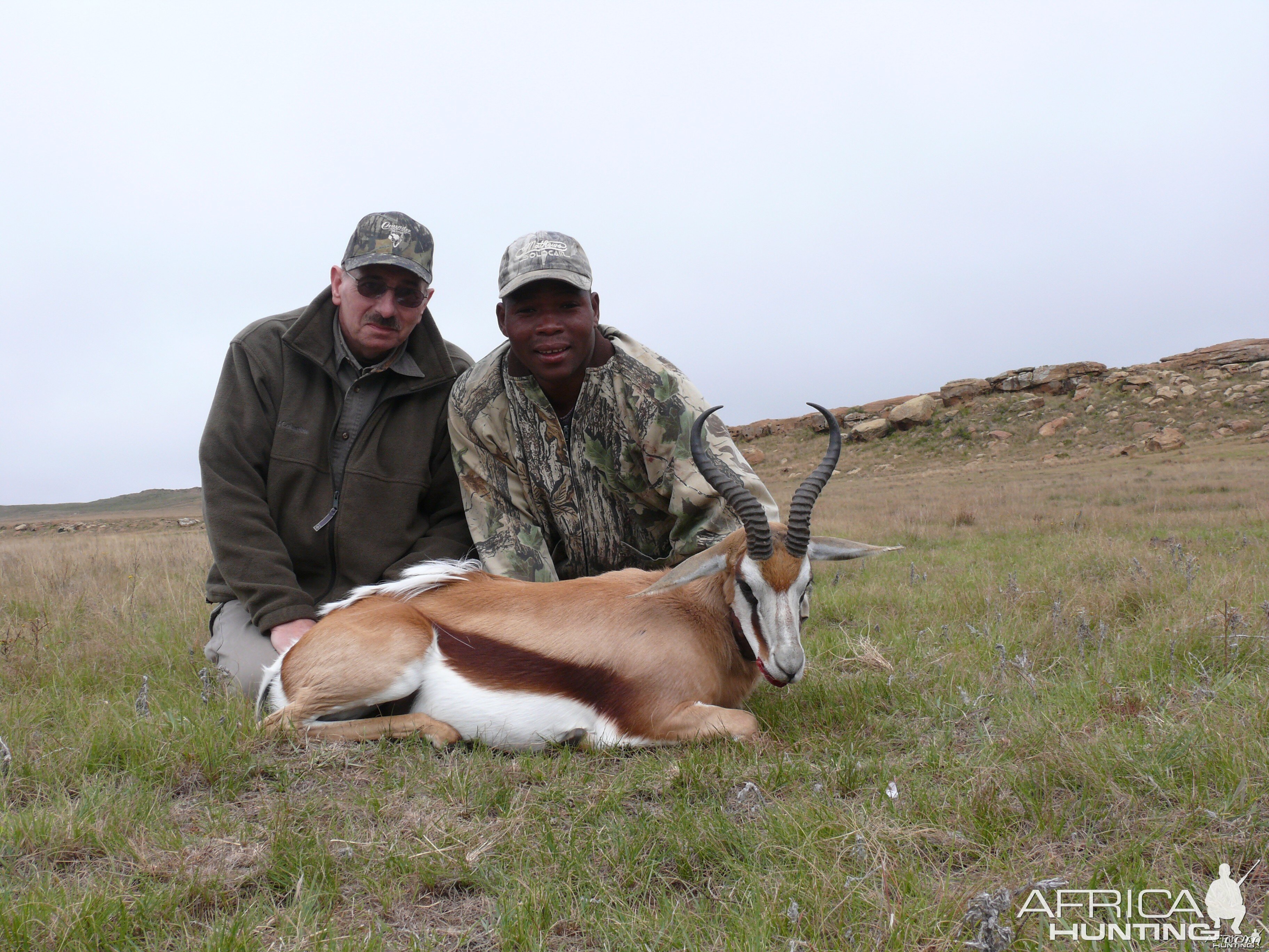 Springbok