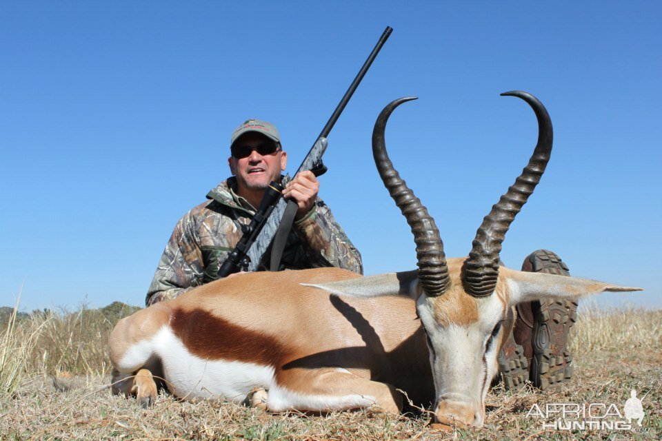 Springbok