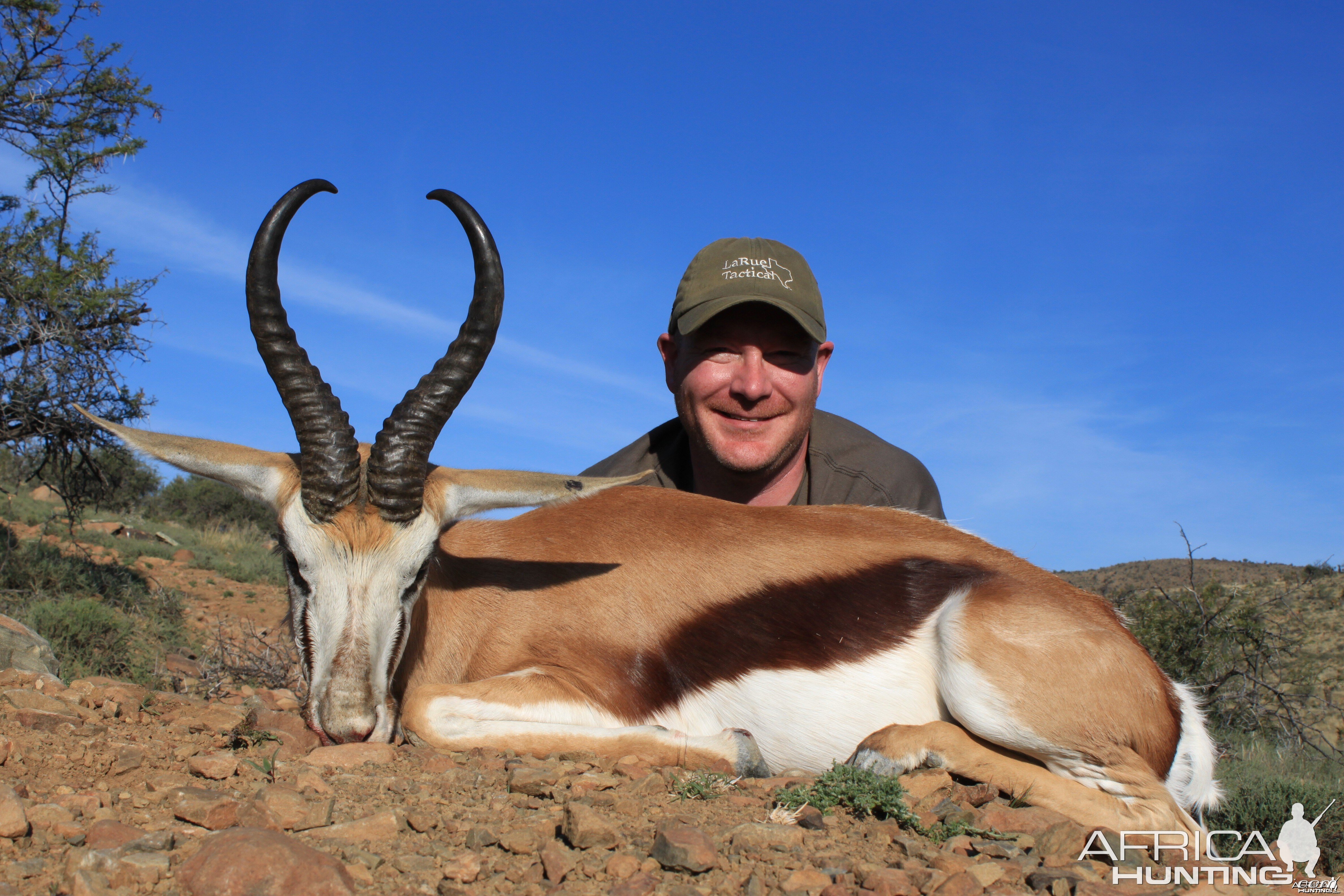 Springbok