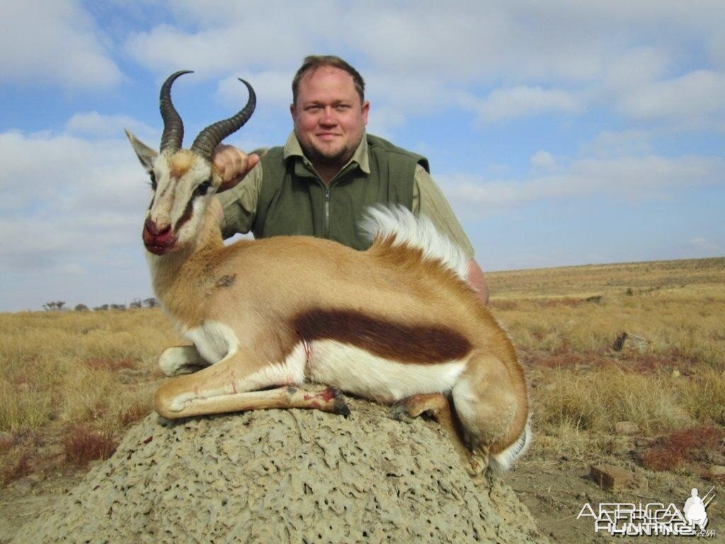 Springbok