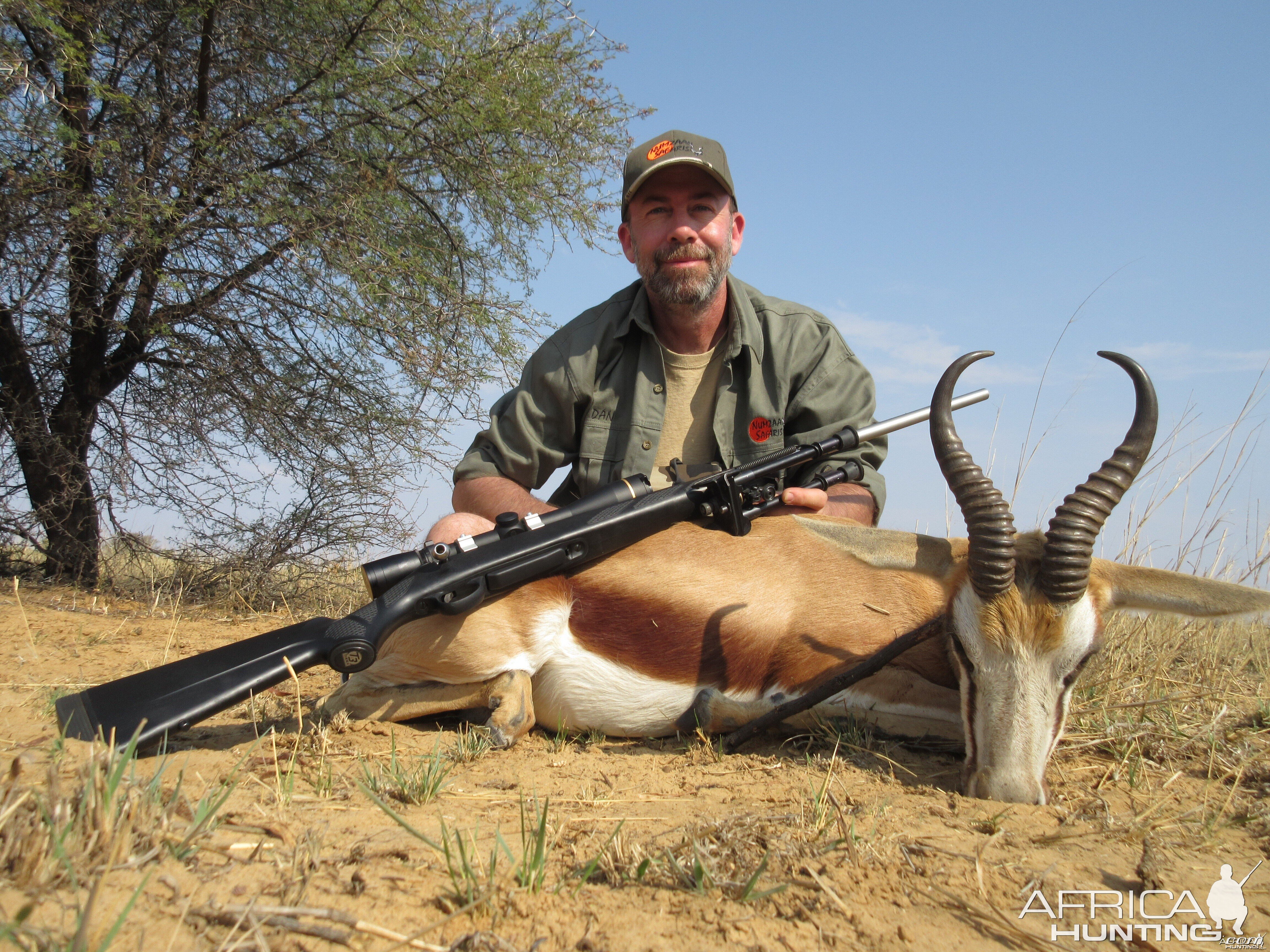 Springbok