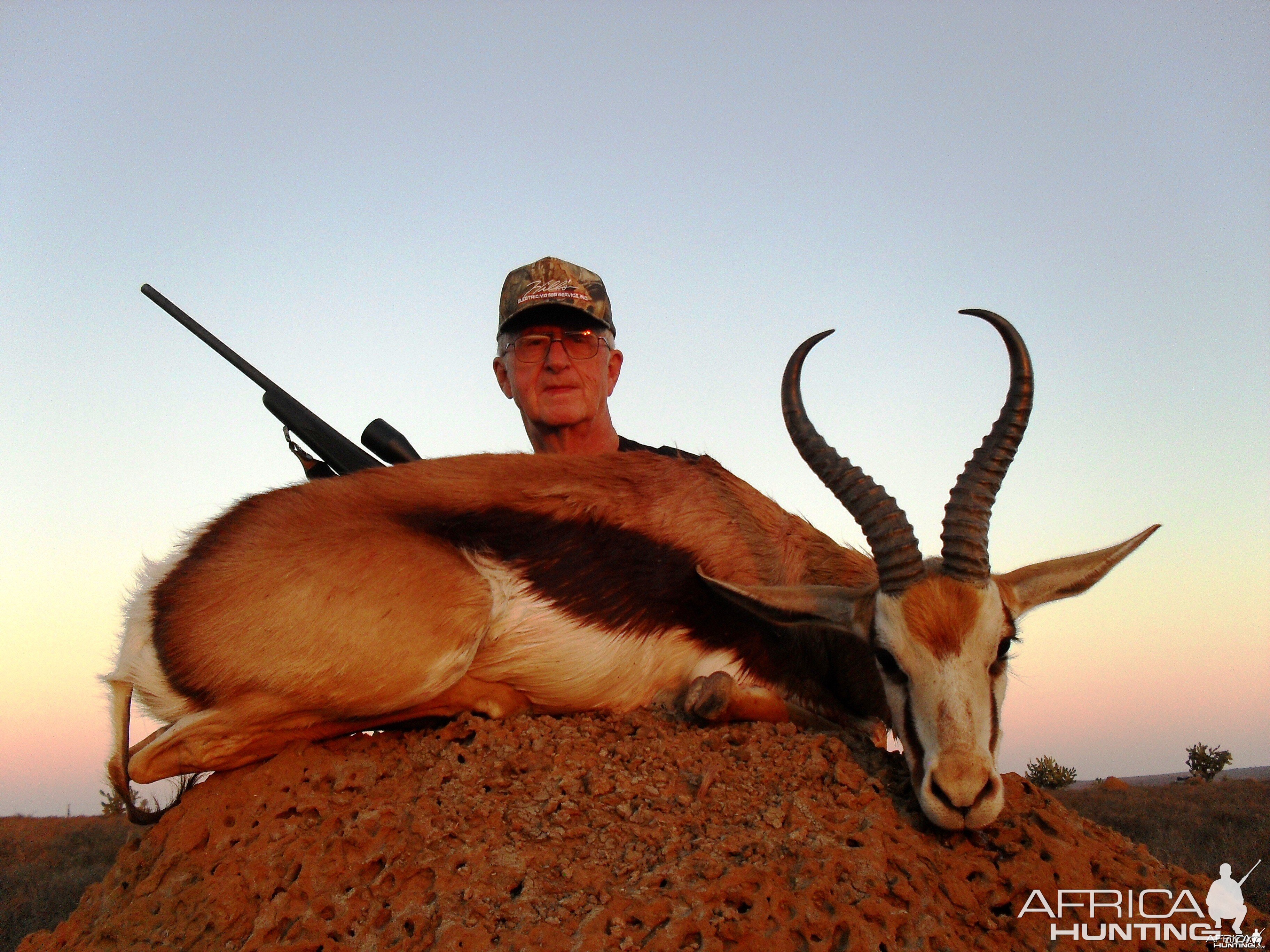 Springbok