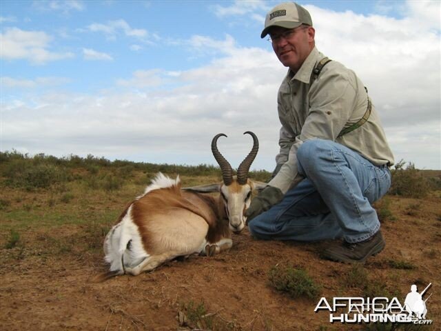 Springbok