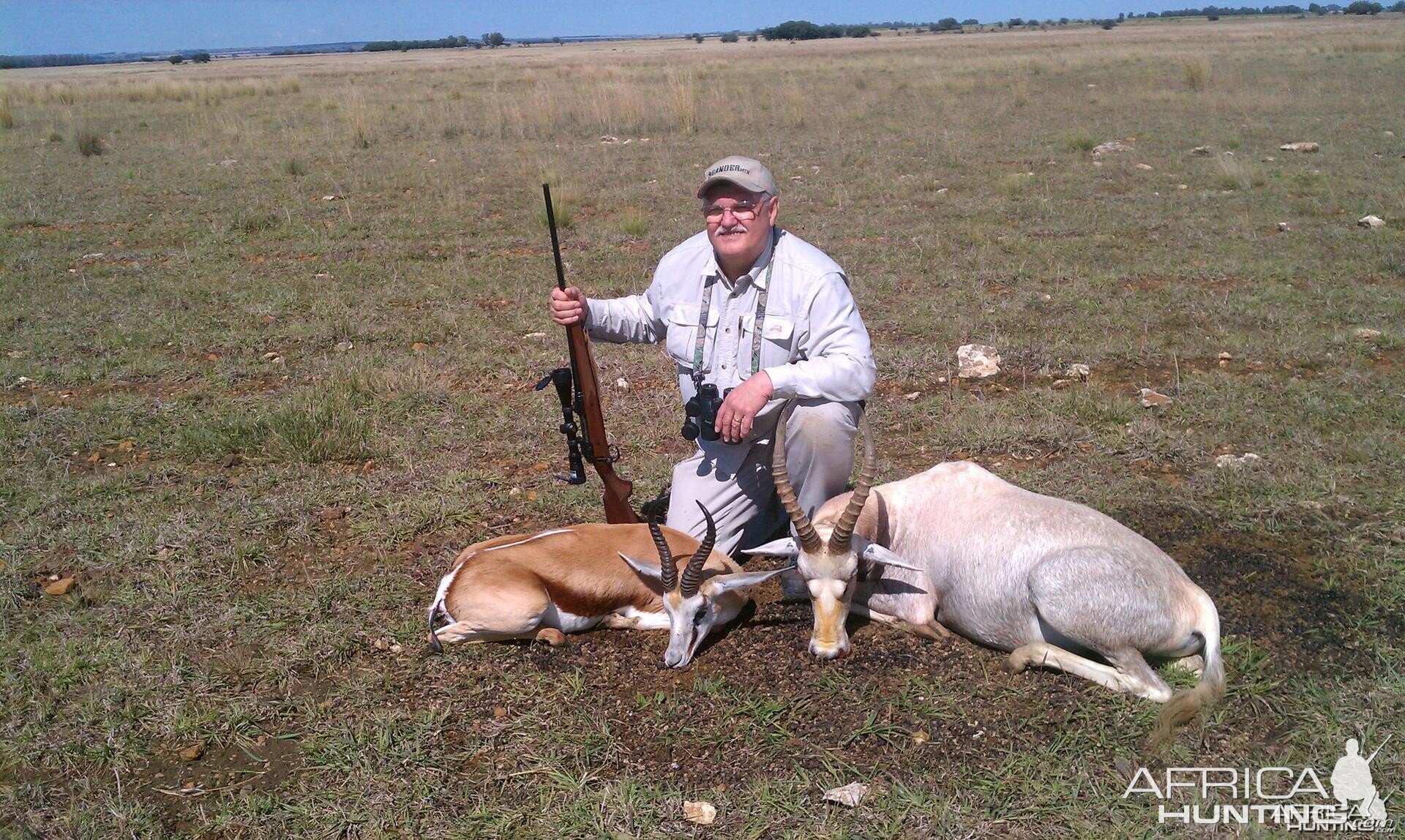 Springbuck and White Blesbuck