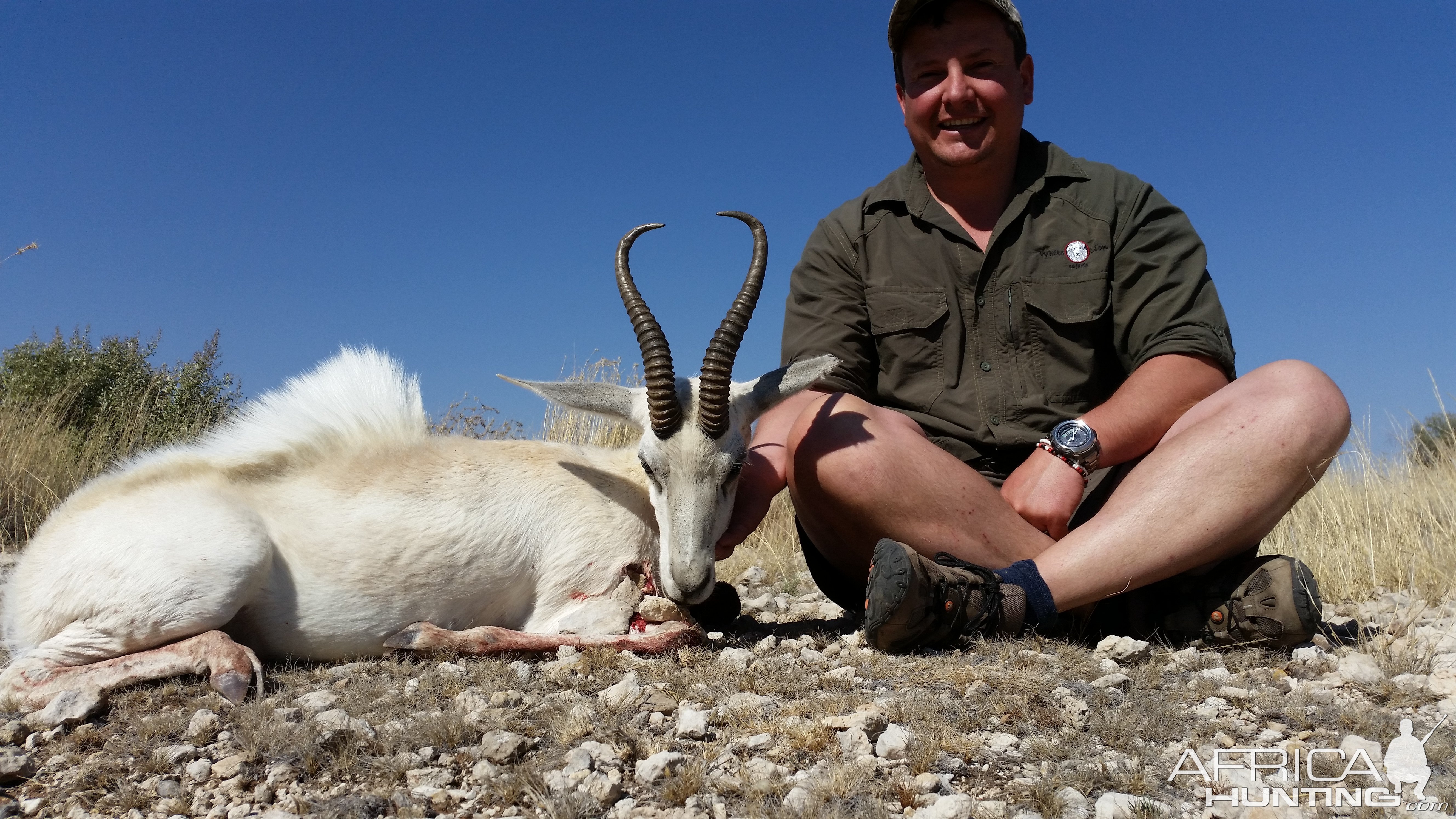 Springbuck grand slam with bow completed with White lion safaris