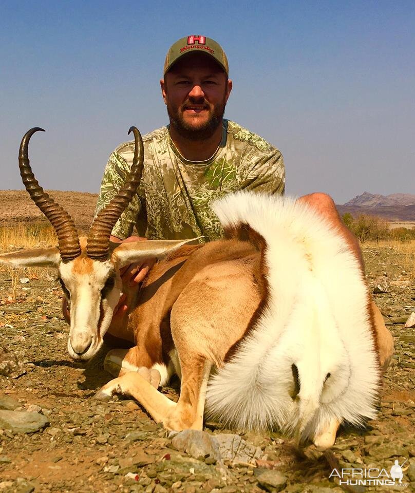 Springbuck Hunt Namibia