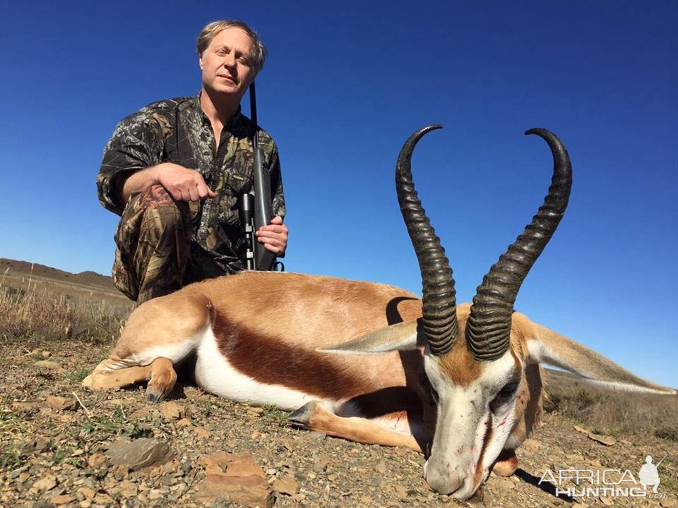 Springbuck Hunt South Africa