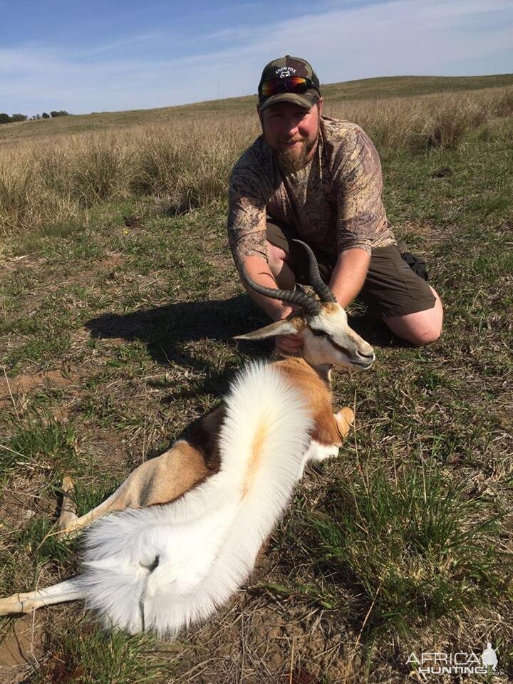 Springbuck Hunt South Africa